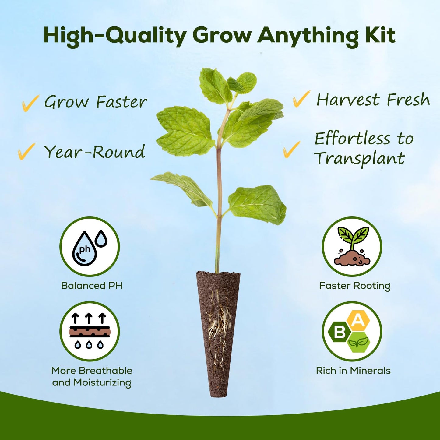 12-Pod Tomato Seed Kit Compatible with All Hydroponics, 6 Pack Varieties: Cherry Tomato, Beefsteak, Black Cherry, Cherokee Purple, Sweet Million, Brandywine, Easy to Grow, High Germination
