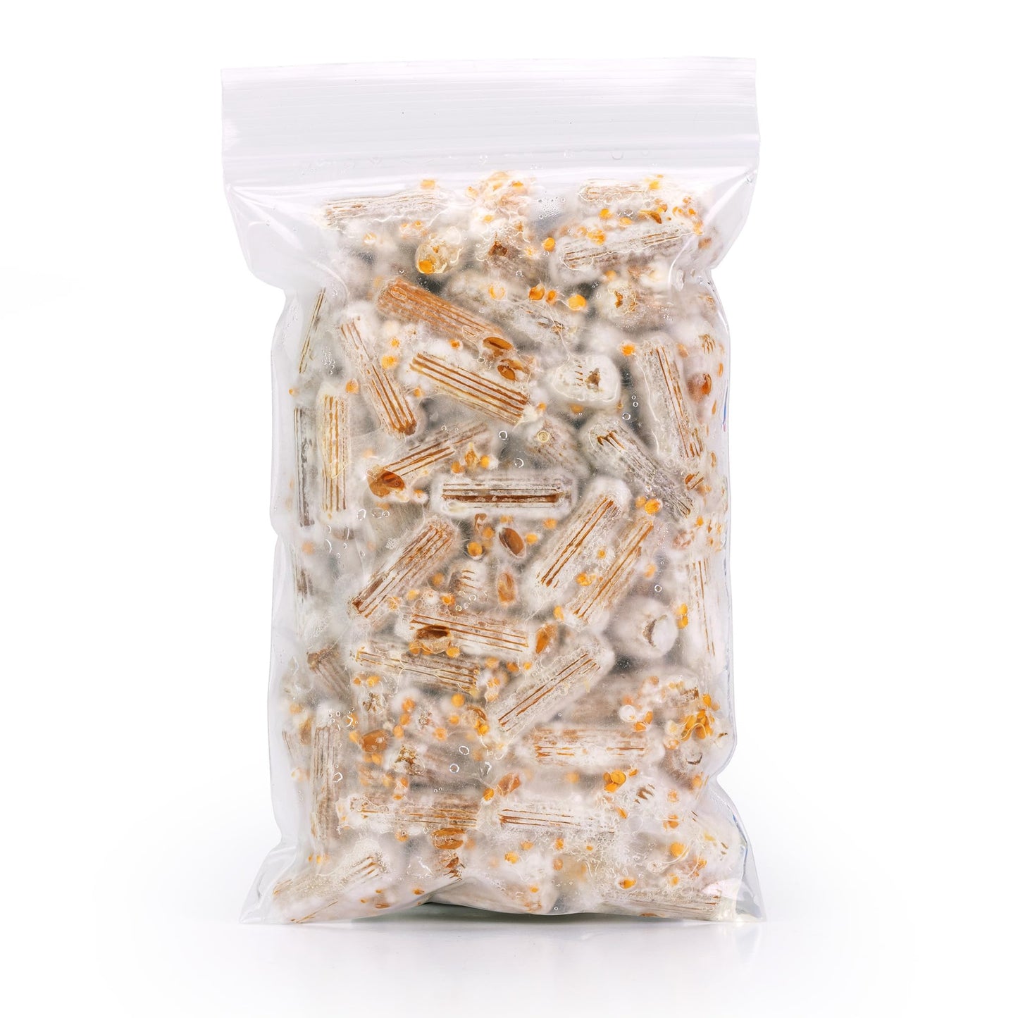 North Spore Organic Lion's Mane (100 ct) Mushroom Plugs for Logs | Premium Quality Mushroom Plug Spawn | Handmade in Maine, USA | Grow Gourmet Mushrooms Outdoors on Logs
