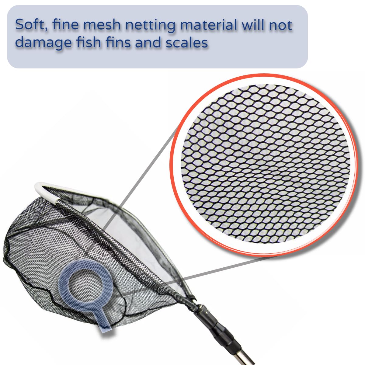 Aquascape Heavy-Duty Pond Net with Extendable Handle, Ideal for Safe Koi and Fish Handling, Durable Fish-Safe Mesh, 36 to 69-Inch Adjustable Length, 98560