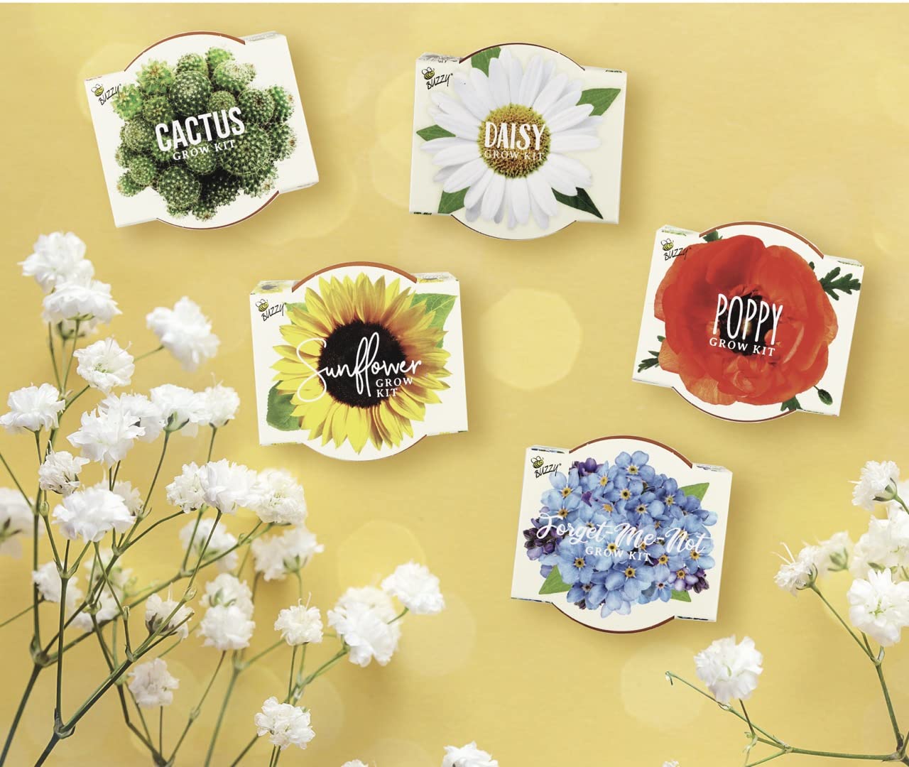 BUZZY Seeds Mini Terracotta Pots 12-Pack with Plant Seeds, Poppy, Sunflower, Daisy, Cactus and Forget Me Not, All-in-One Seed Starter Kit, Indoor Outdoor Gardening Gift, Wedding Favors, Mother's Day