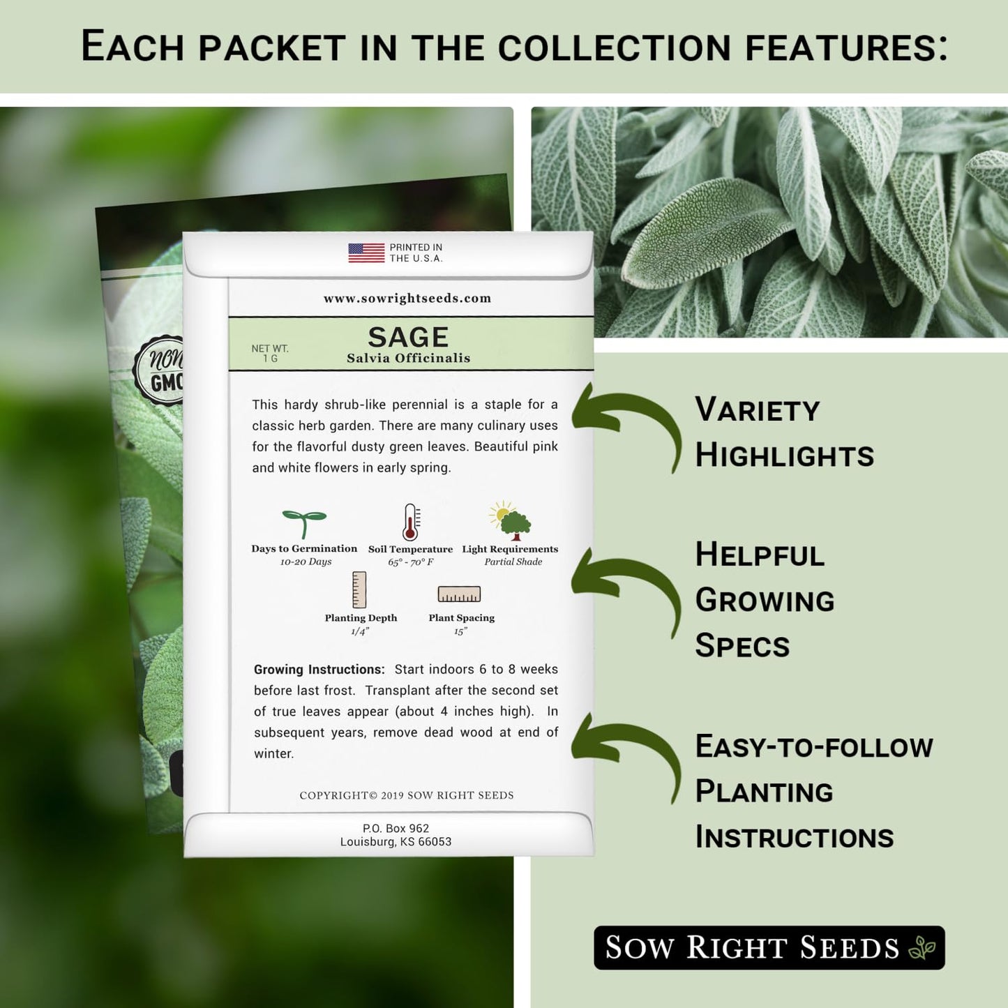 Sow Right Seeds - Italian Herb Garden Seed Collection for Planting - Basil, Oregano, Parsley, Sage, and Thyme - Non-GMO Heirloom Packet with Instructions to Grow a Kitchen Garden Indoors or Outdoors