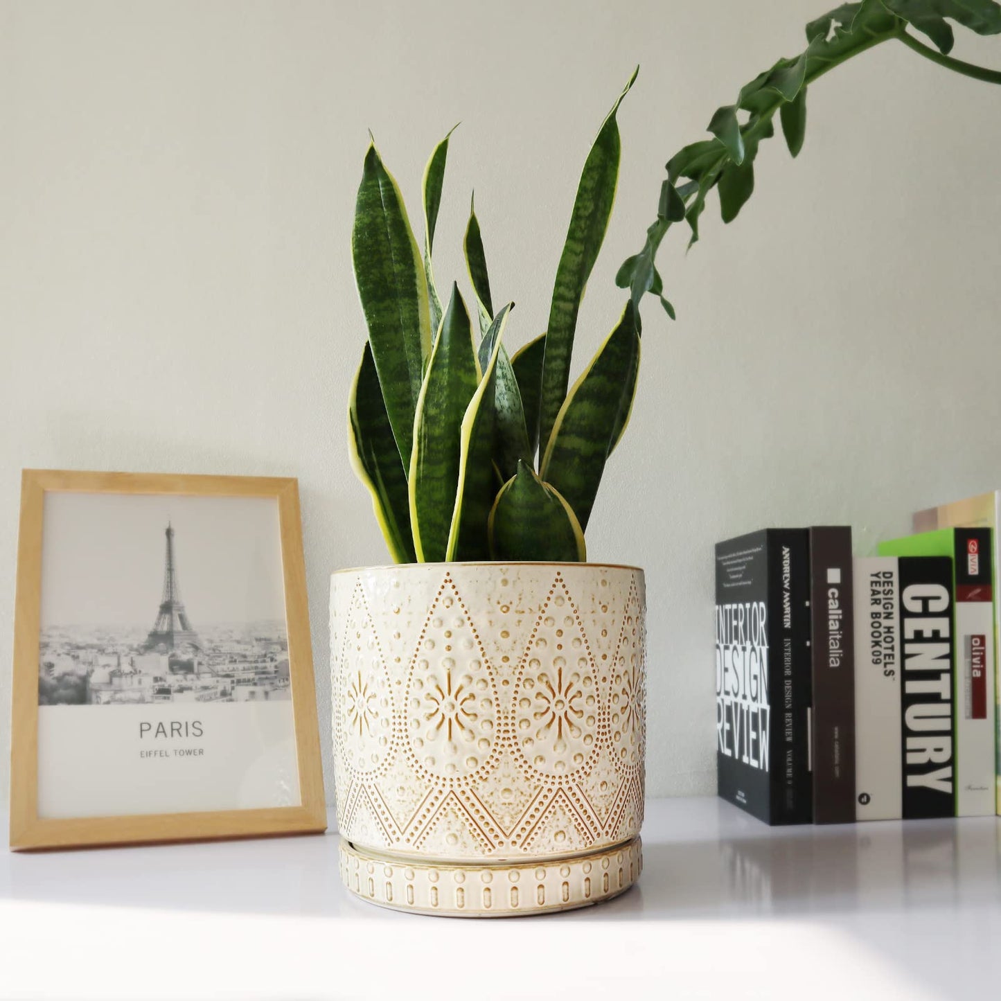 YFFSRJDJ 8 Inch Indoor Plant Pot with Drainage Holes and Saucers, Ceramic Planter for Plants, Succulent Orchid Flower Pots