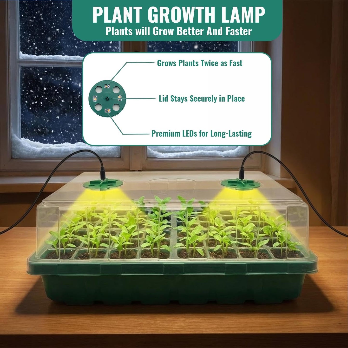 conwhzc 48-Cell Seed Starter Tray Kit with Grow Light, 2 Full-Spectrum LED Lights, 13cm Tall Humidity Dome, Thick PVC Seedling Trays, Labels & Tools, USB-C Power, Indoor Germination
