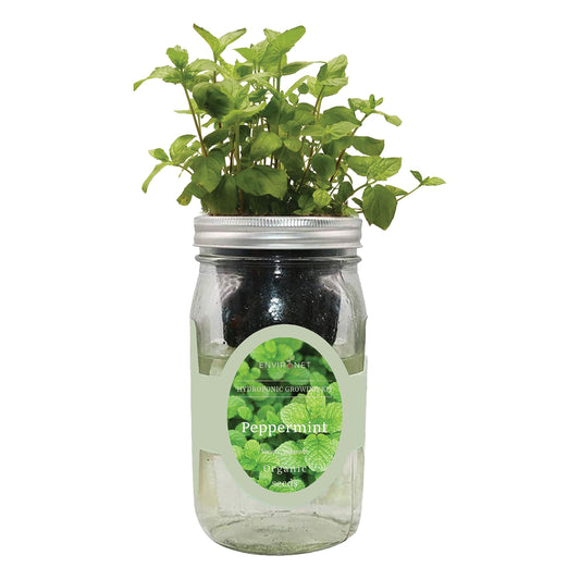 Environet Hydroponic Herb Growing Kit, Self-Watering Mason Jar Herb Garden Starter Kit Indoor, Grow Your Own Herbs from Seeds (Peppermint)