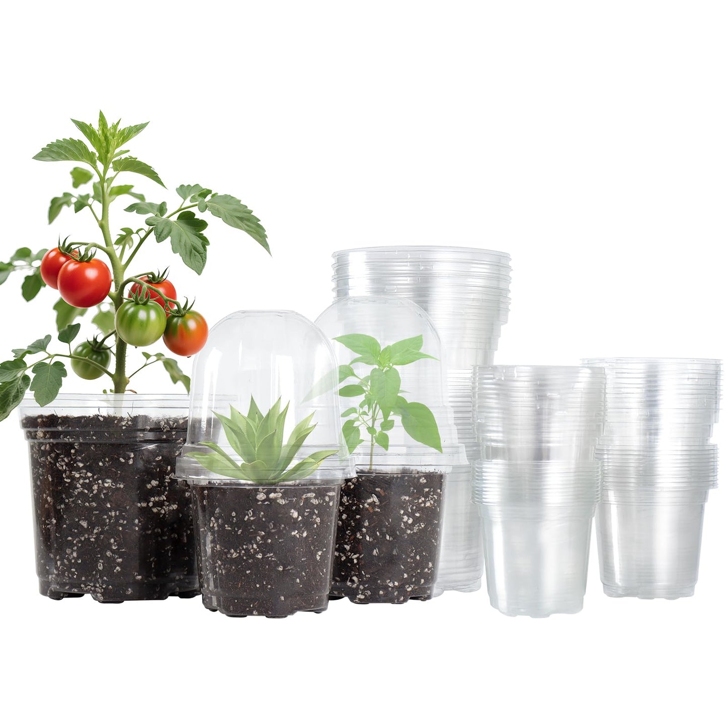 Bluepro 36 Packs 5/4/3.5 Inch Clear Nursery Pots with Humidity Domes, Transparent Plant Pots with Drainage Holes, Variety Pack Seedling Pots for Vegetable Propagation, Root Cutting, Seed Starting
