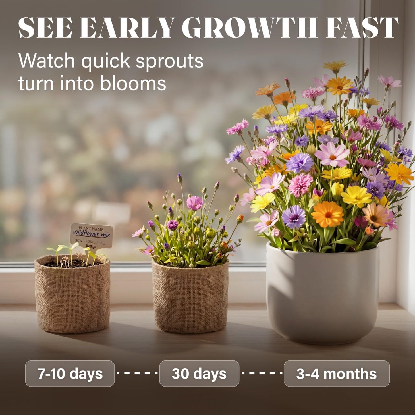 AVERGO Wildflower Seed Mix Growing Kit - Perennial Wild Flowers | Ideal Gift - Also Includes Planters, Soil, Wooden Box, and Gardening Tools for Indoor Garden and Patio Planting