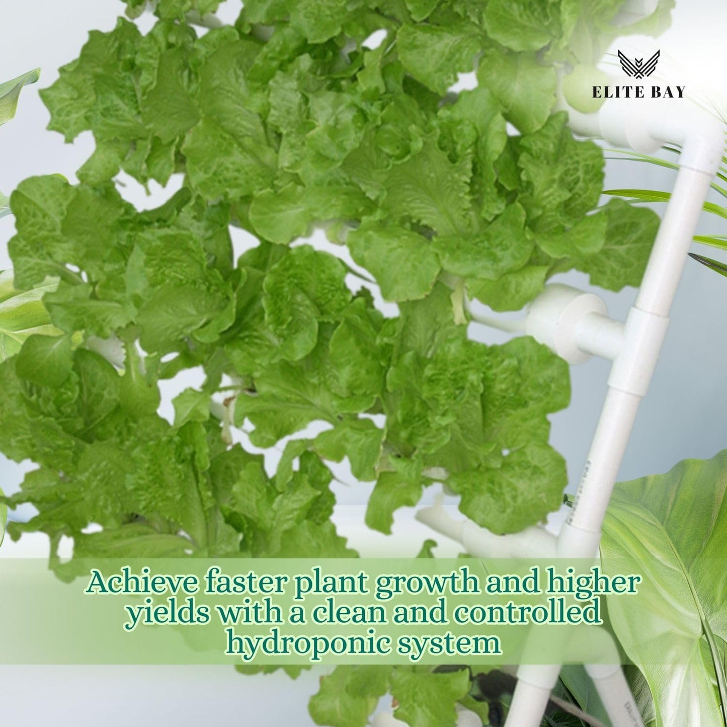 ELITE BAY 36-Pod Hydroponic Plant Growing System – PVC Vertical Soilless Indoor/Outdoor Garden Kit | White Tower with 36 Baskets, Sponges, AU/US Plug & Soft Tube | Ideal for Home Gardening