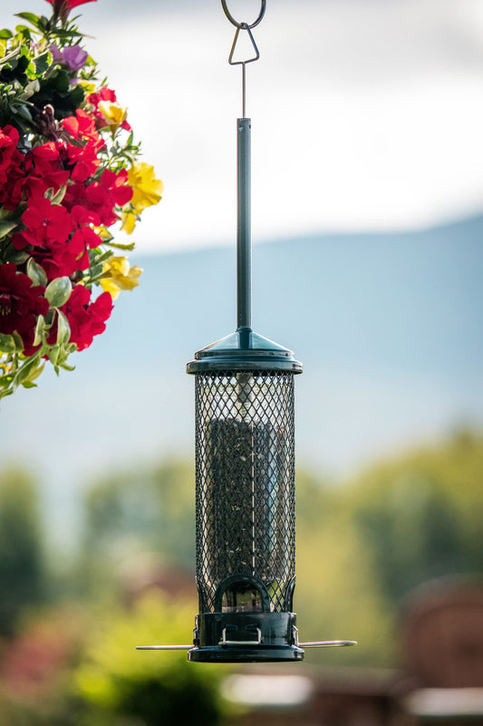 Squirrel Buster Mini Squirrel-Proof Bird Feeder for Wild Birds – 4 Metal Perches, 1 lb Seed Capacity, Chew-Proof Design, Lifetime Care, Garden Green