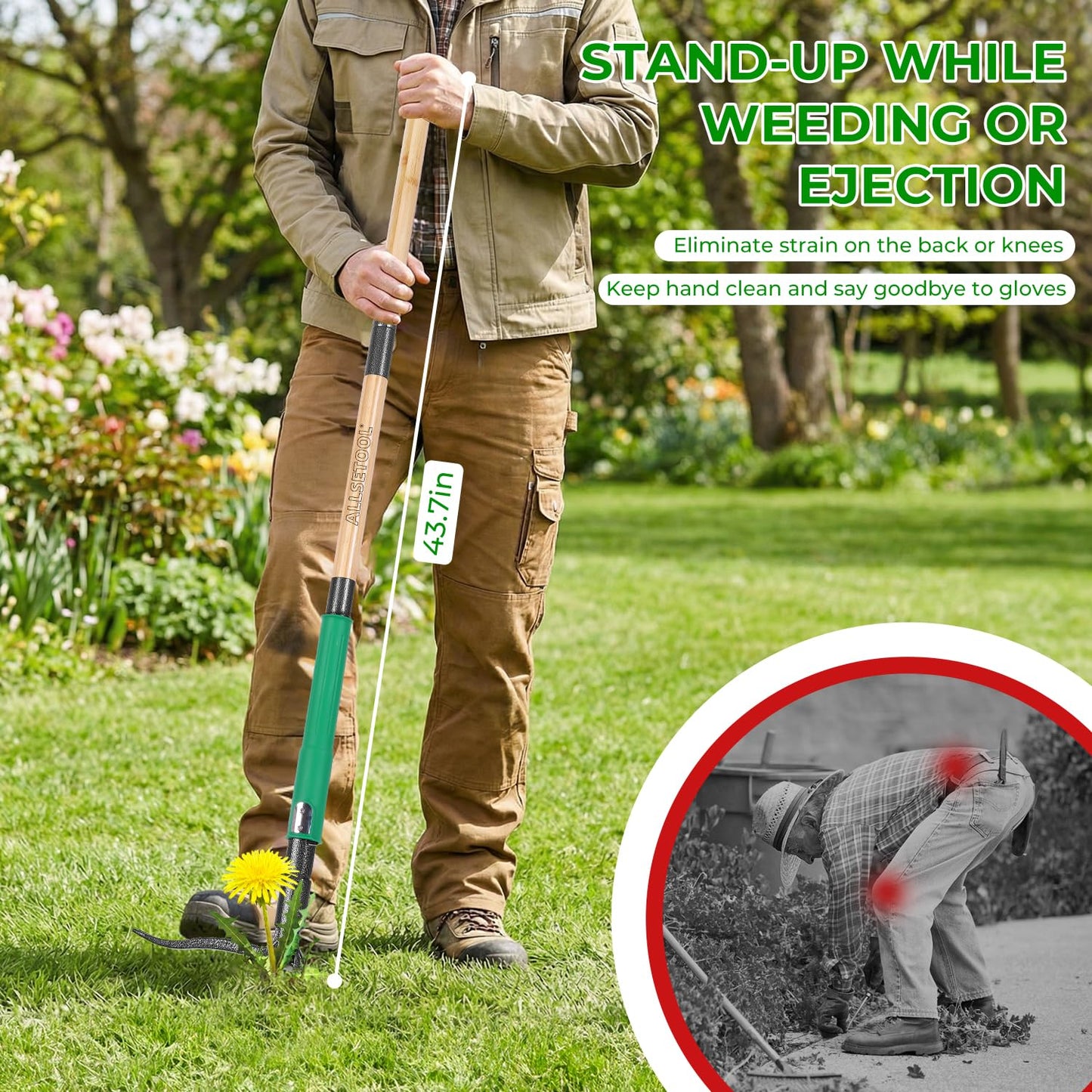 Allsetool Weed Puller Tool with 2 Weed Eject Feature, 43.7in Stand Up Dandelion Remover Tool, Real Bamboo Handle and Metal 4 Claw & Foot Pedal, Heavy Duty Garden Weeder