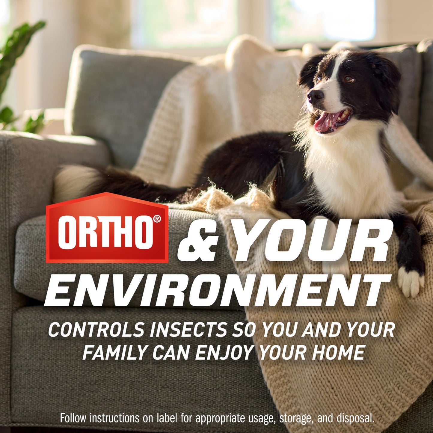 Ortho Home Defense Max Indoor Flying Insect Trap - Light Sticky Trap for House Flies, Fruit Flies, and Gnats, 1 Plug-in and 4 Refills