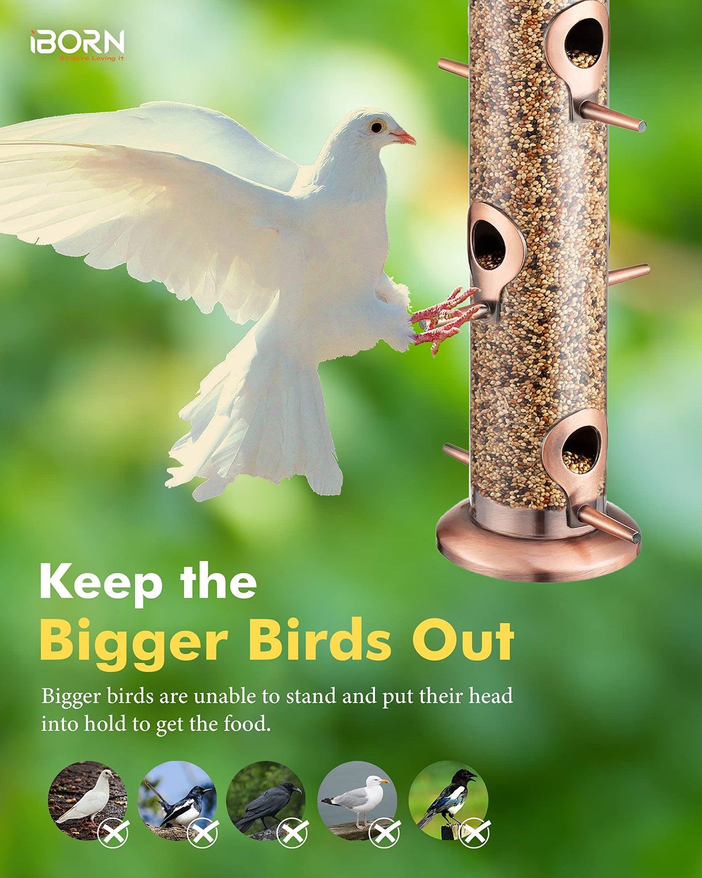 iBorn Metal Bird Feeders Brushed Copper Wild Bird Feeder for Outdoors Hanging All Metal Brushed Copper Finishing 15 Inch 6 Port(Seed is not Included)