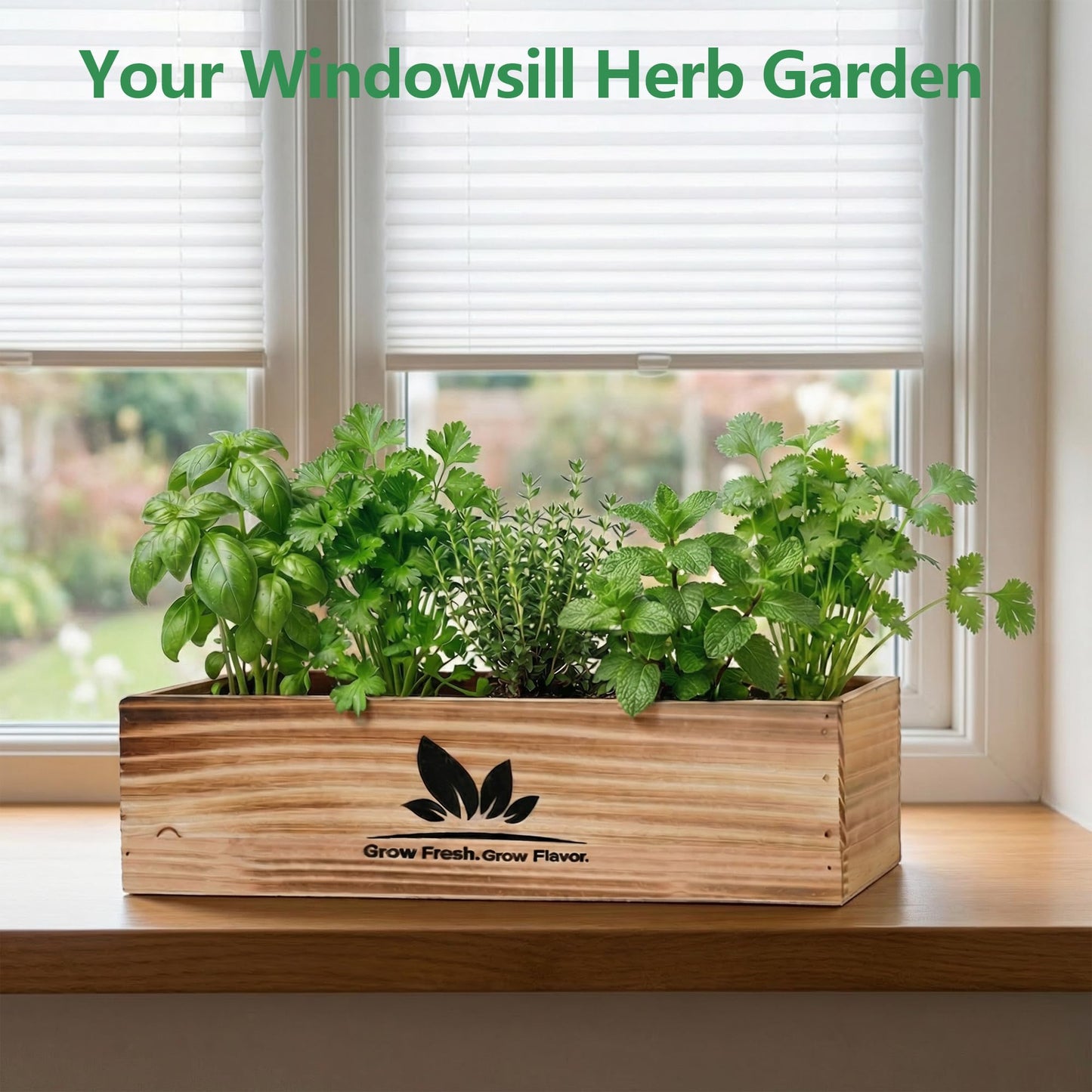 Herblink Indoor Herb Garden Starter Kit, 5 Herb Garden Planter Indoor Kit with Wooden Box Including Genovese Basil, Thyme, Parsley, Mint, Complete Windowsill Growing Gifts Set, Gifts for Mom, Women