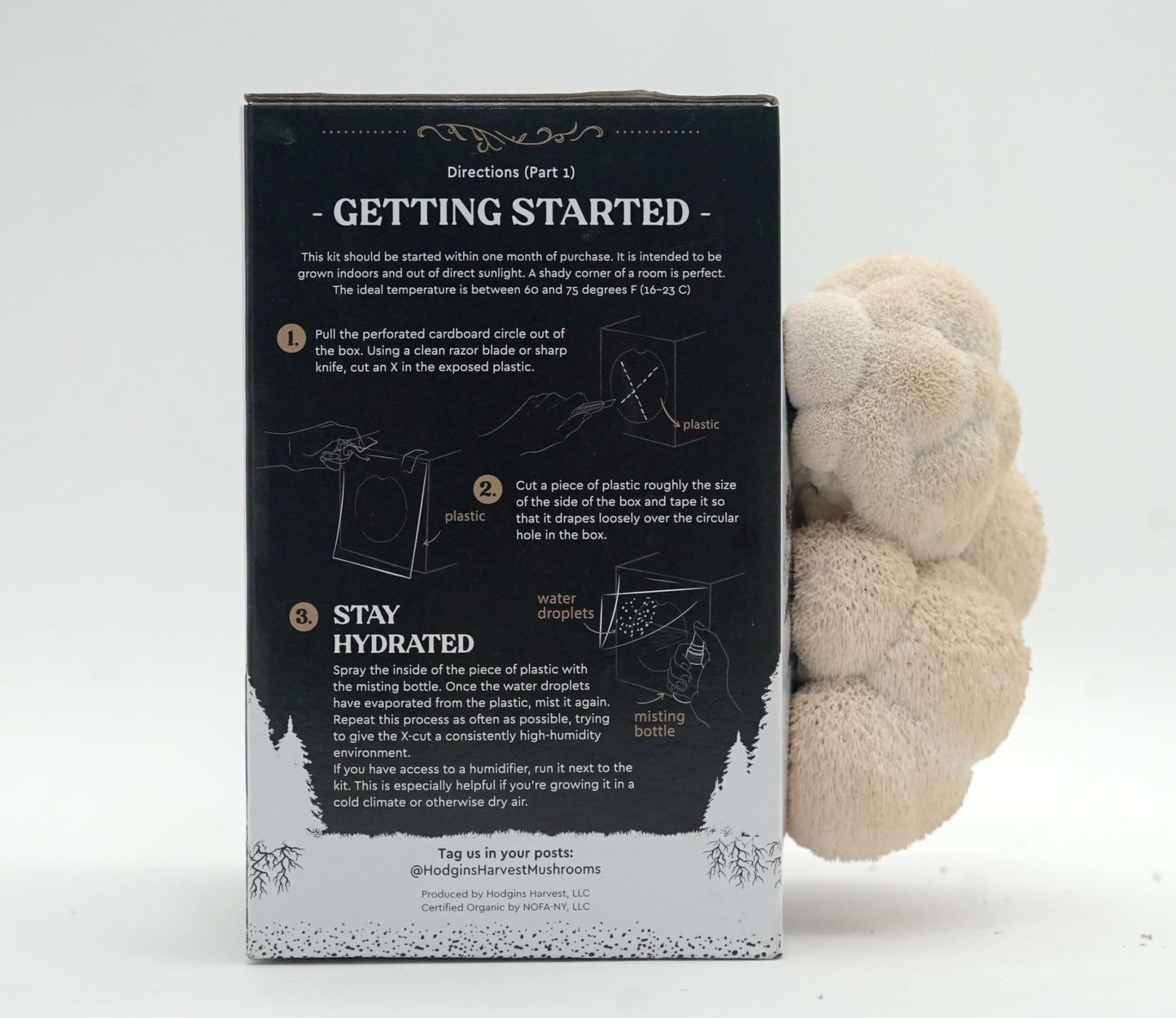 Hodgins Harvest Organic Lion's Mane Mushroom Growing Kit - Indoor Gardening Kit for Fresh Gourmet Mushrooms - Easy to Grow at Home - Holiday Gift for Garden Lovers & Foodies - Grown in USA - 3.5 lb