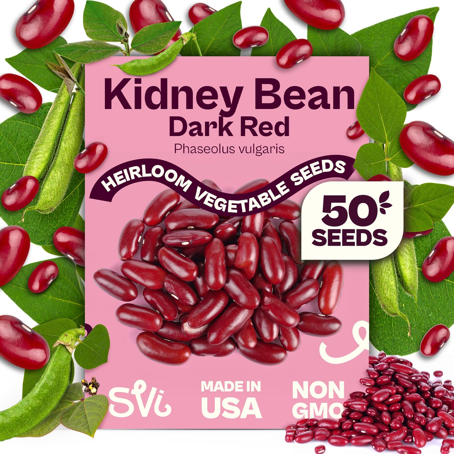 SVI 50 Dark Red Kidney Beans Seeds (Phaseolus vulgaris L.) – Rajma, Surkh Lobia, Heat-Tolerant, Protein-Rich – Heirloom Vegetable Seeds for Outdoor Garden & Raised Beds