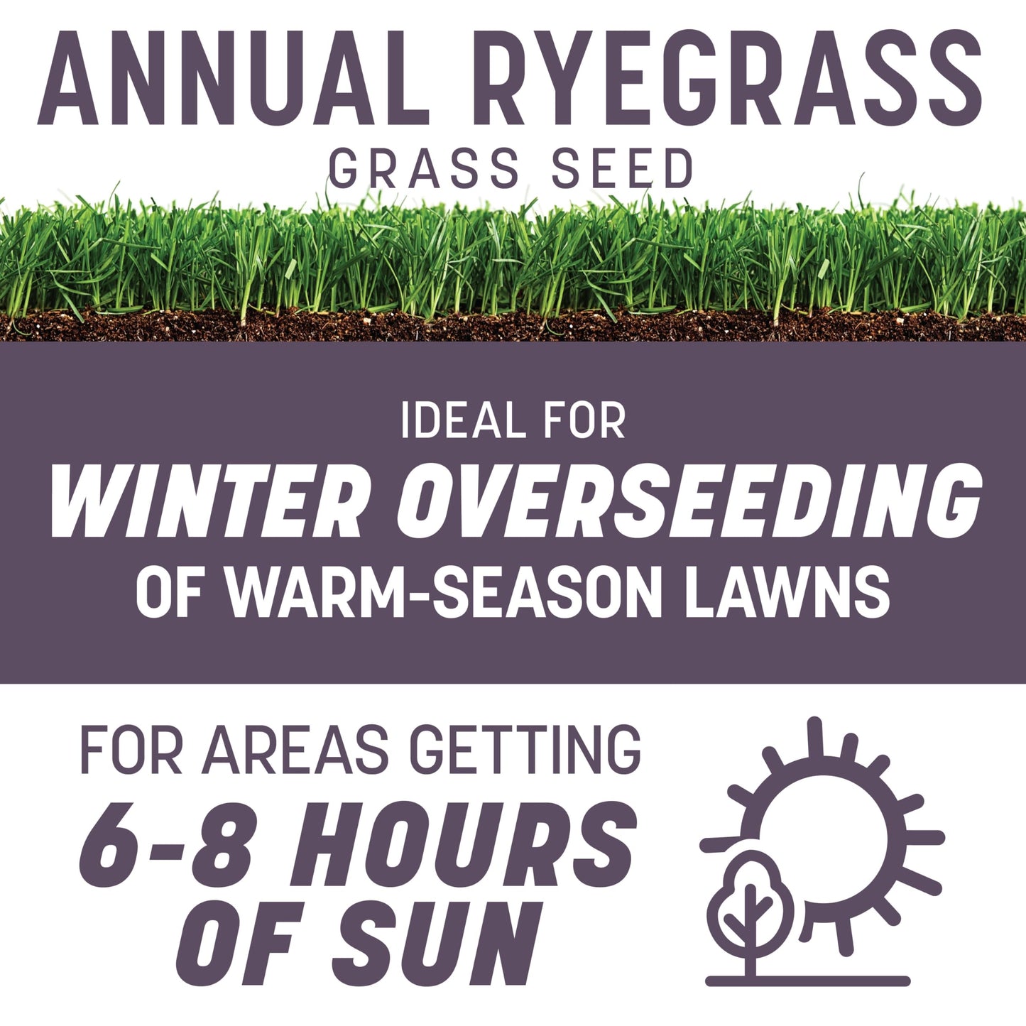 Pennington Annual Ryegrass Grass Seed 10 lb