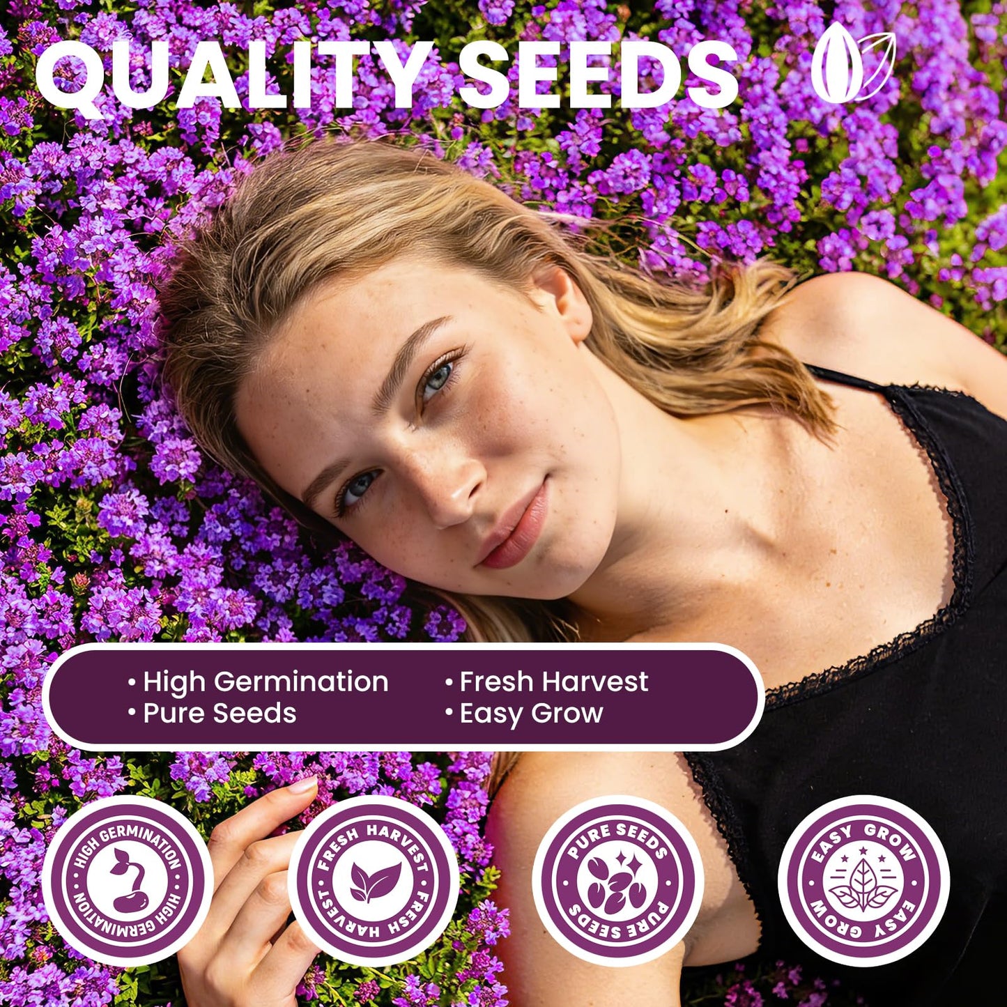 Fruivity 20000+pcs Creeping Thyme Seeds for Planting, Perennial Ground Cover Plants Flowers Seeds Fragrant Herb Seeds for Lawns & Paths Garden