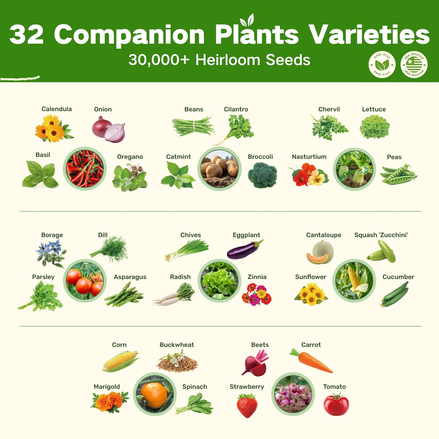 Lush&Dew Companion Plants Heirloom Seed Bank, Gardening Gifts for Women & Men, 32 Varieties 30,000+ Non-GMO Vegetable Seeds for Planting in Garden Bed Greenhouse, Survival Seed Kit for Food Supply