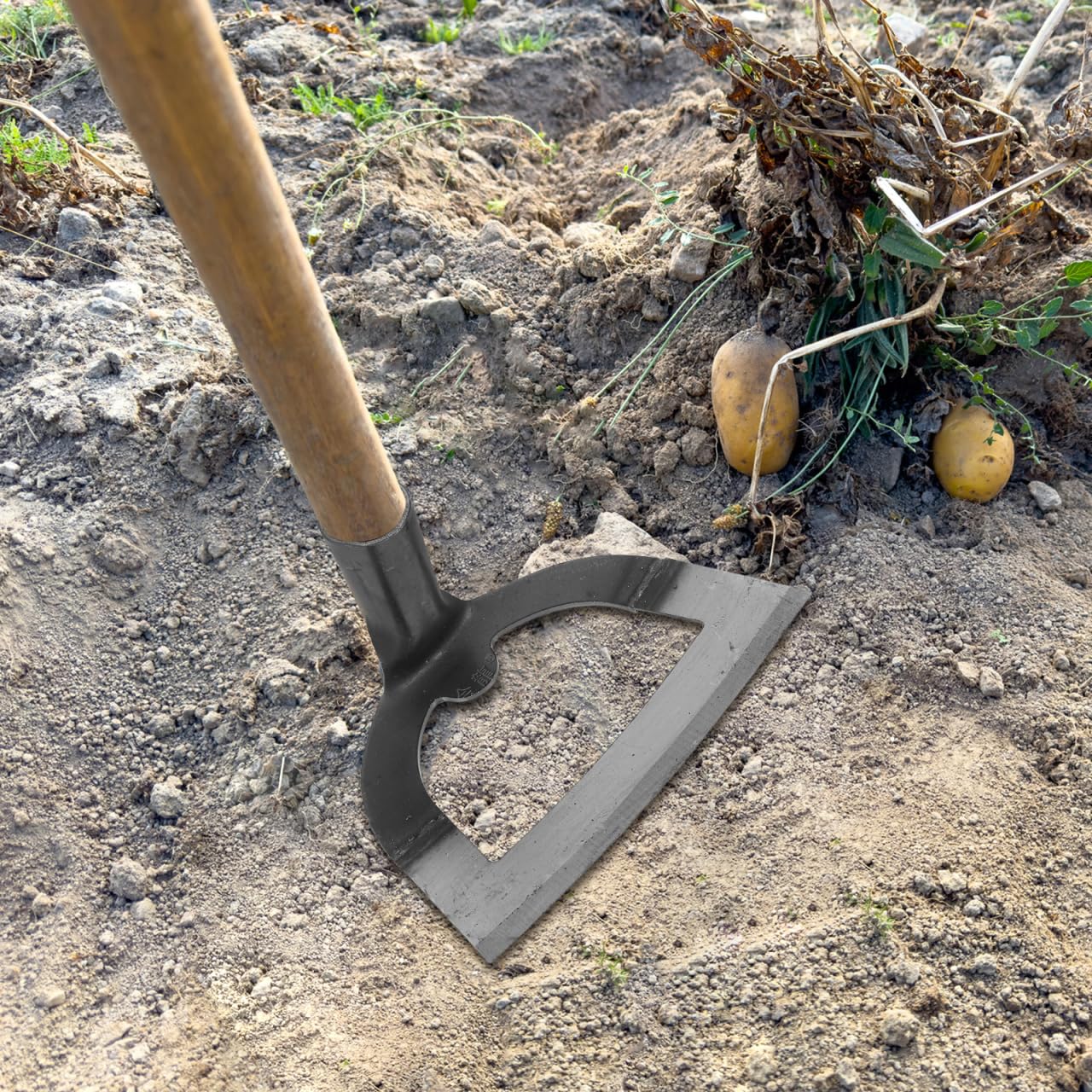 DOITOOL Heavy Duty Hollow Garden Hoe Tool 8.38In Handheld Weeding Rake for Backyard Farming Soil Loosening Tilling and Planting