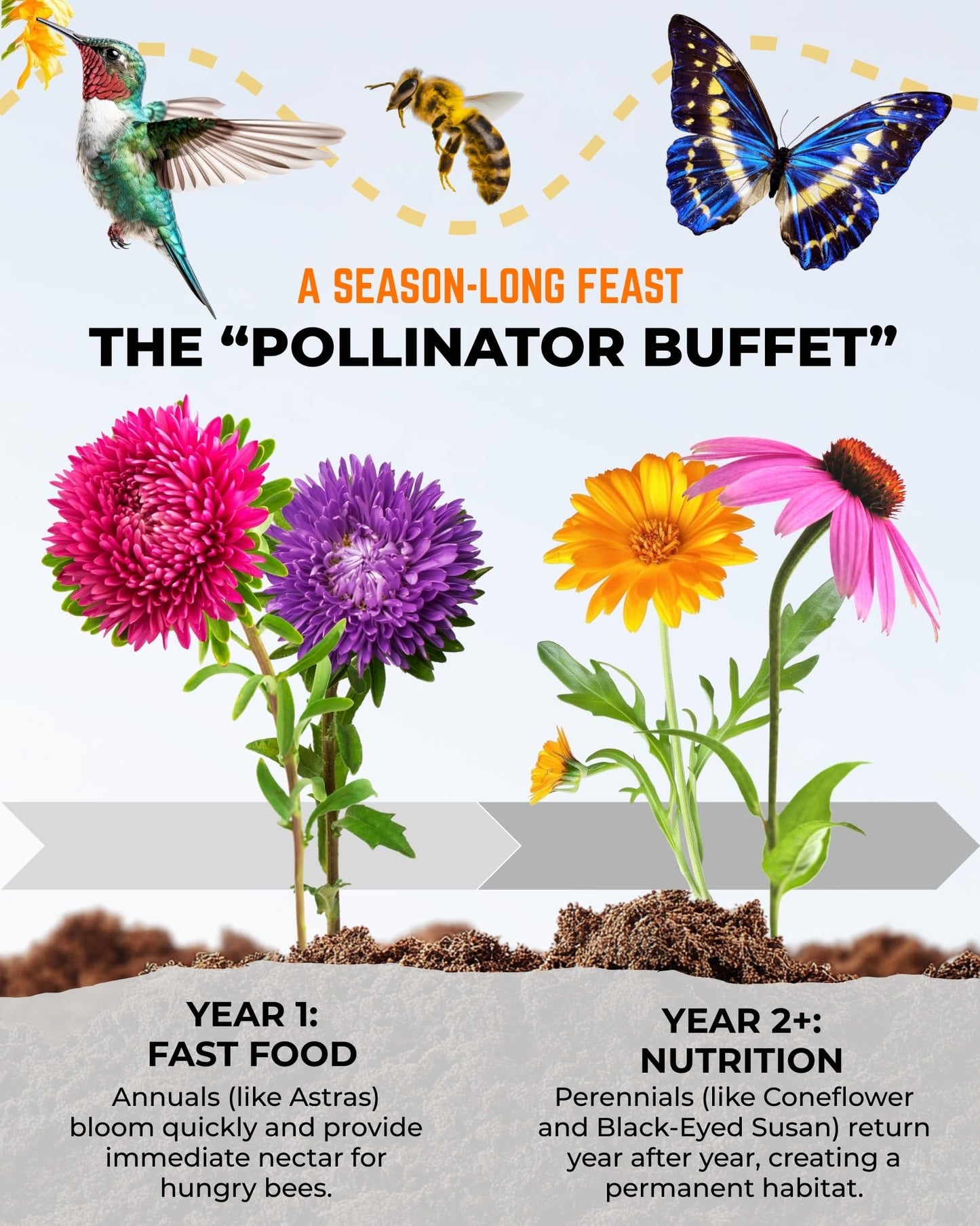 Tactiko Garden 26 Wildflower Seeds Mix, 120,000+ 4 oz Save the Bees Wildflower Garden Seeds, Annual & Perennial Pollinator Seeds to Attract Bees, Butterflies & Hummingbirds, Up to 600 sq ft Coverage
