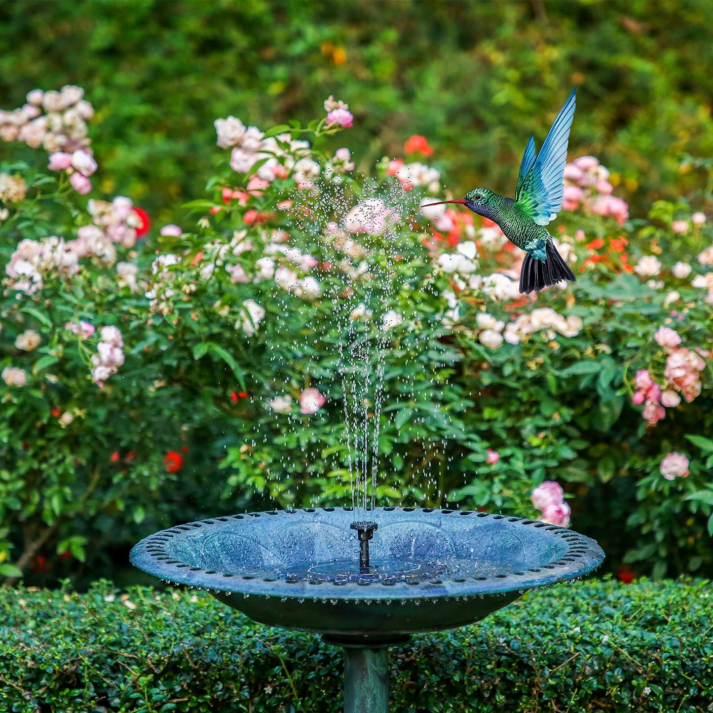 AISITIN 3.5W Solar Bird Bath Fountain Pump, Solar Fountain Pump for Bird Bath with 6 Nozzles, Solar Powered Water Fountain Pump for Garden, Ponds, Pool, Fish Tank, Aquarium and Outdoor, Black
