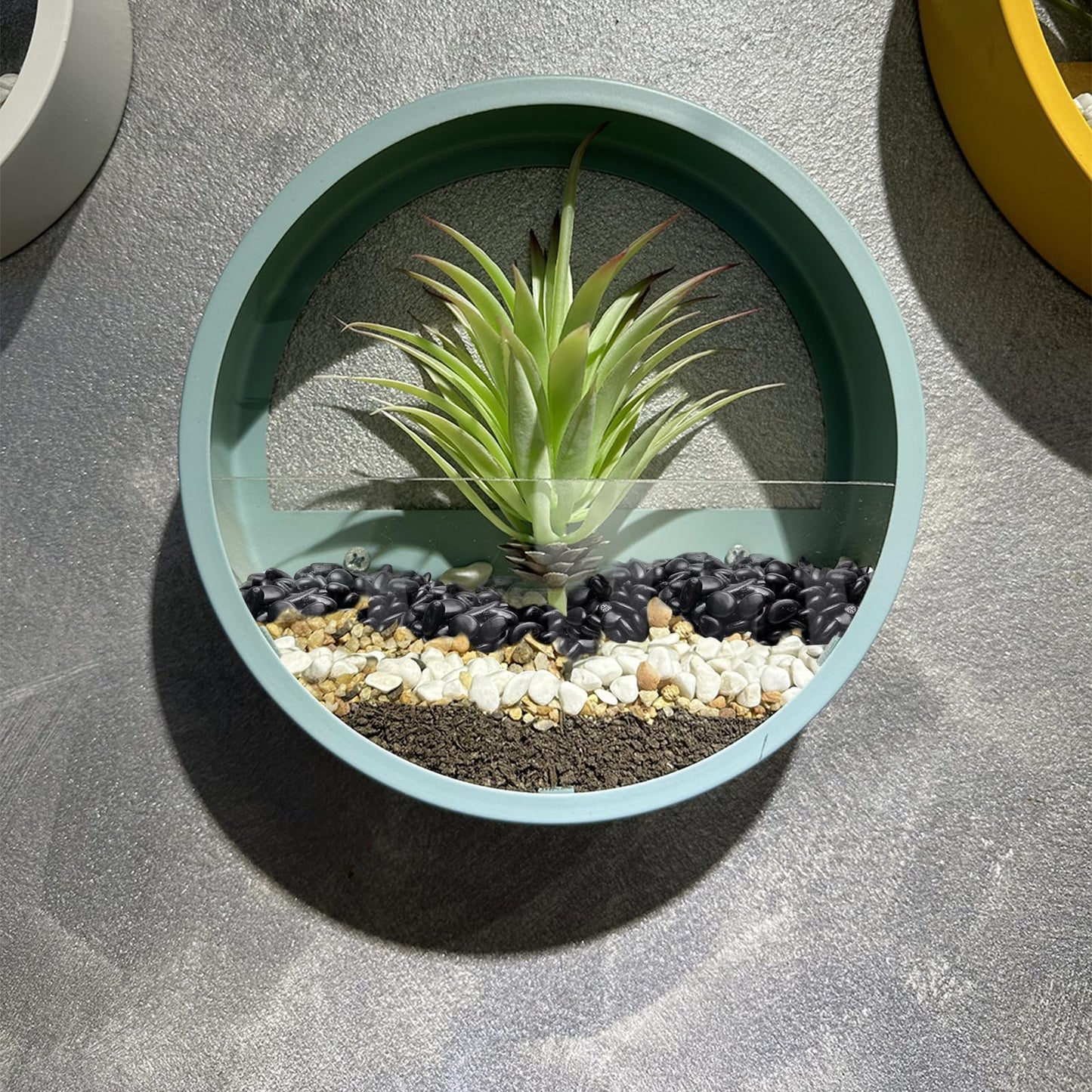 Pulovin 10 lbs Black Pebbles for Indoor Plants, Succulent, Bamboo, Vase, 3/8" Plant Rocks for Pots Indoor, Small River Rocks Decorative Pea Gravel, Highly Polished