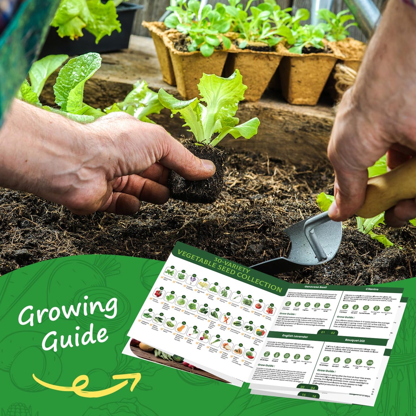 PLANTMEW 30 Heirloom Vegetable Seeds for Planting, 12,000+ Garden Seeds - Vegetable, Herb, Fruit Seeds - Survival Seed Vault with Tomato, Basil, Lettuce, Bean, Pepper, Squash and More