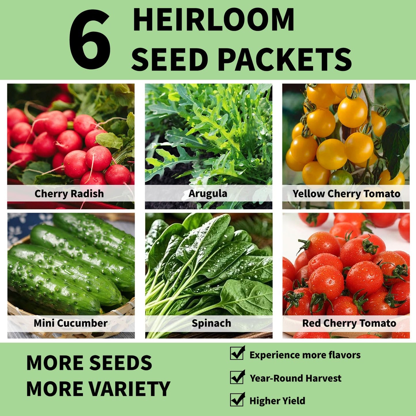 Salad Seed Pod for Aerogarden - 12 Fruit Hydroponic Refill Grow Pods with 6 Packets Seeds of Mini Cucumber, Arugula, Spinach, Cherry Radish & Tomato for Most Hydroponic Systems Ahopegarden, LETPOT