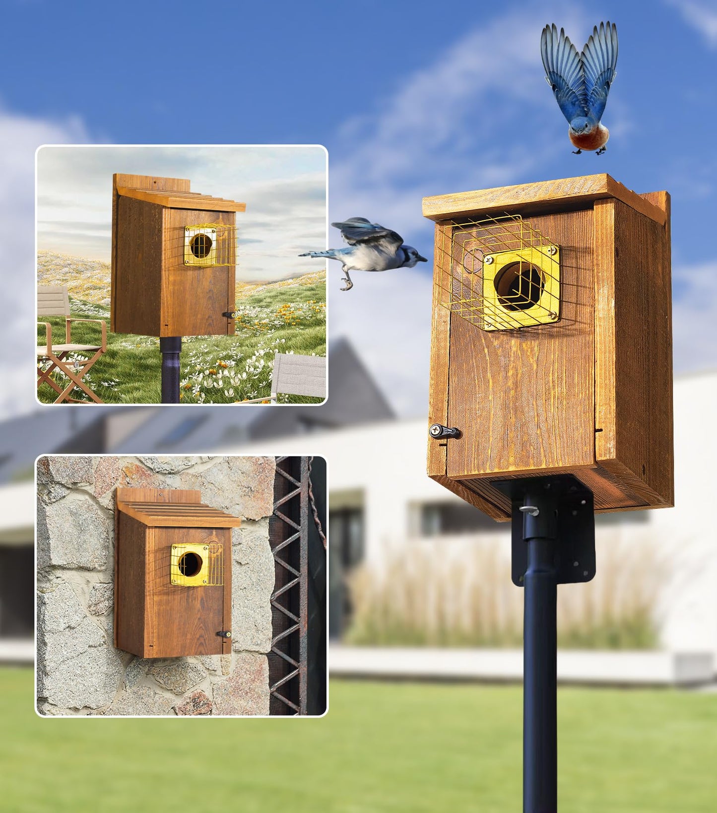 2pk Fortress Bluebird House for Outdoor Clearance - Metal Entry Cage, Mesh Base & Brass Guard - Cedar Bird House for Bluebirds, Finches, Patented Design, Weatherable 5 Years Usage, 6"x7", 2026 Updated