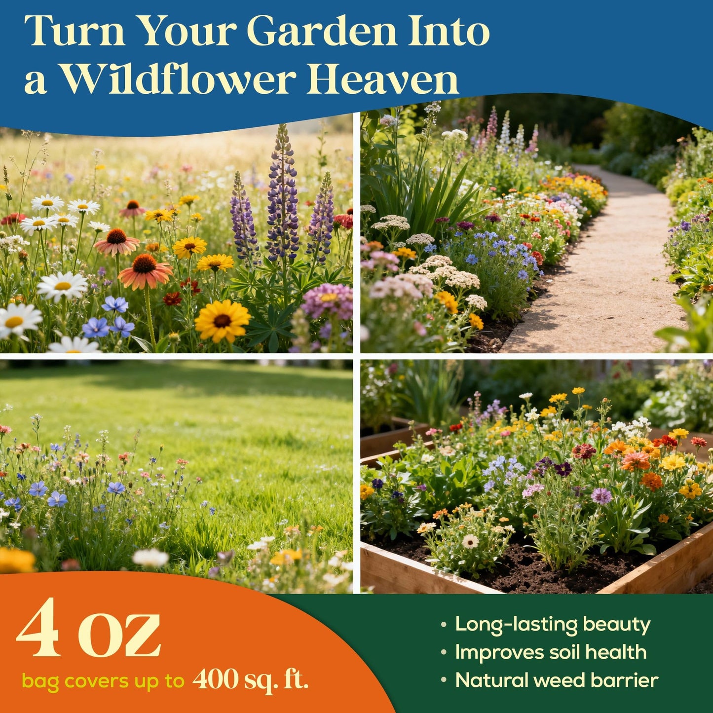 Seedphony 16 Perennial Wildflower Mix 4 oz - 100,000 Non-GMO Heirloom Wildflower Seeds for Planting Garden, Wild Flowers in Waterproof Seed Packet, Floral Seeds for Planting Indoor & Outdoor Gardening