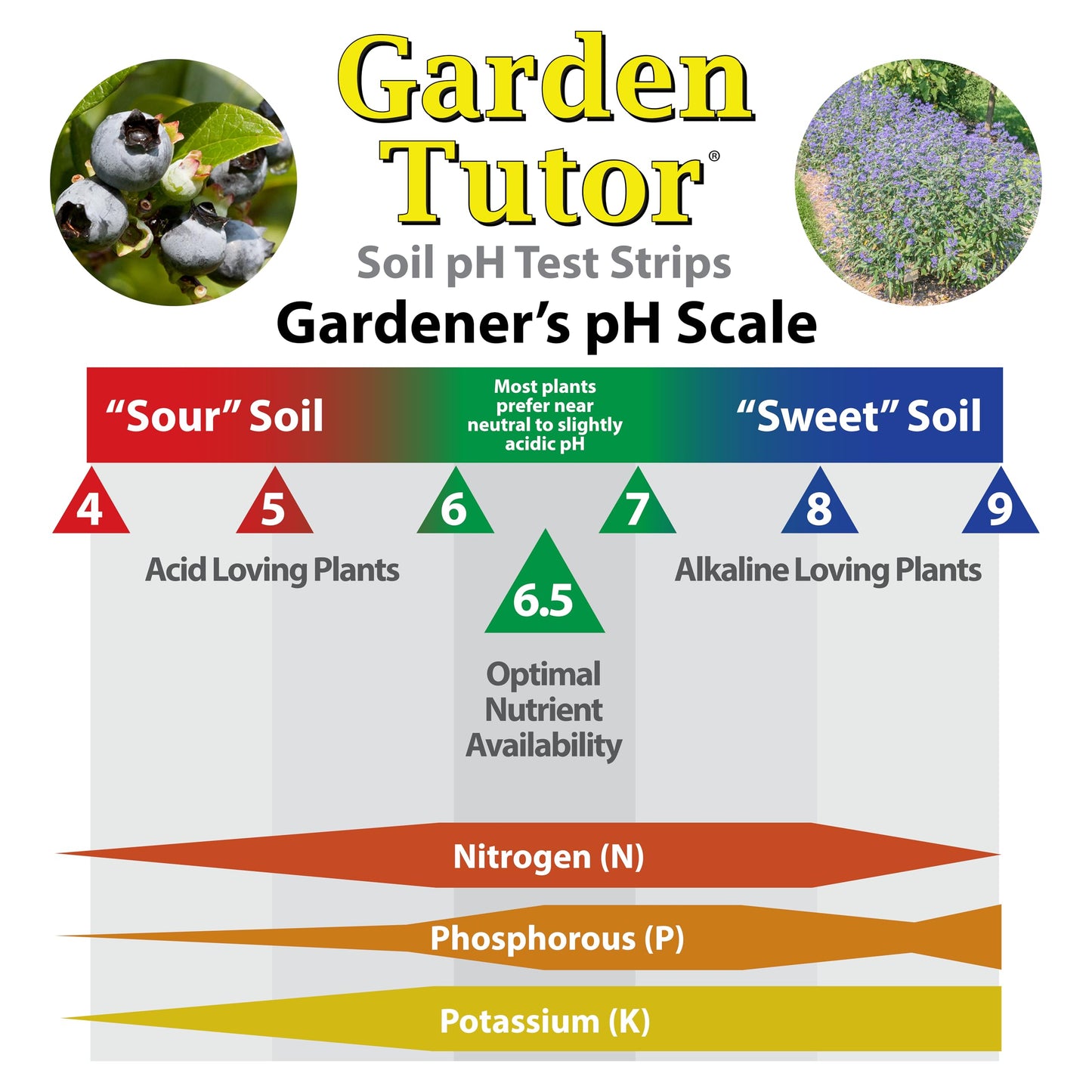 Garden Tutor Soil pH Test Kit – 100 Strips with AI-Powered Web Reader – Accurate Testing for Lawn, Garden & Compost – pH 3.5–9