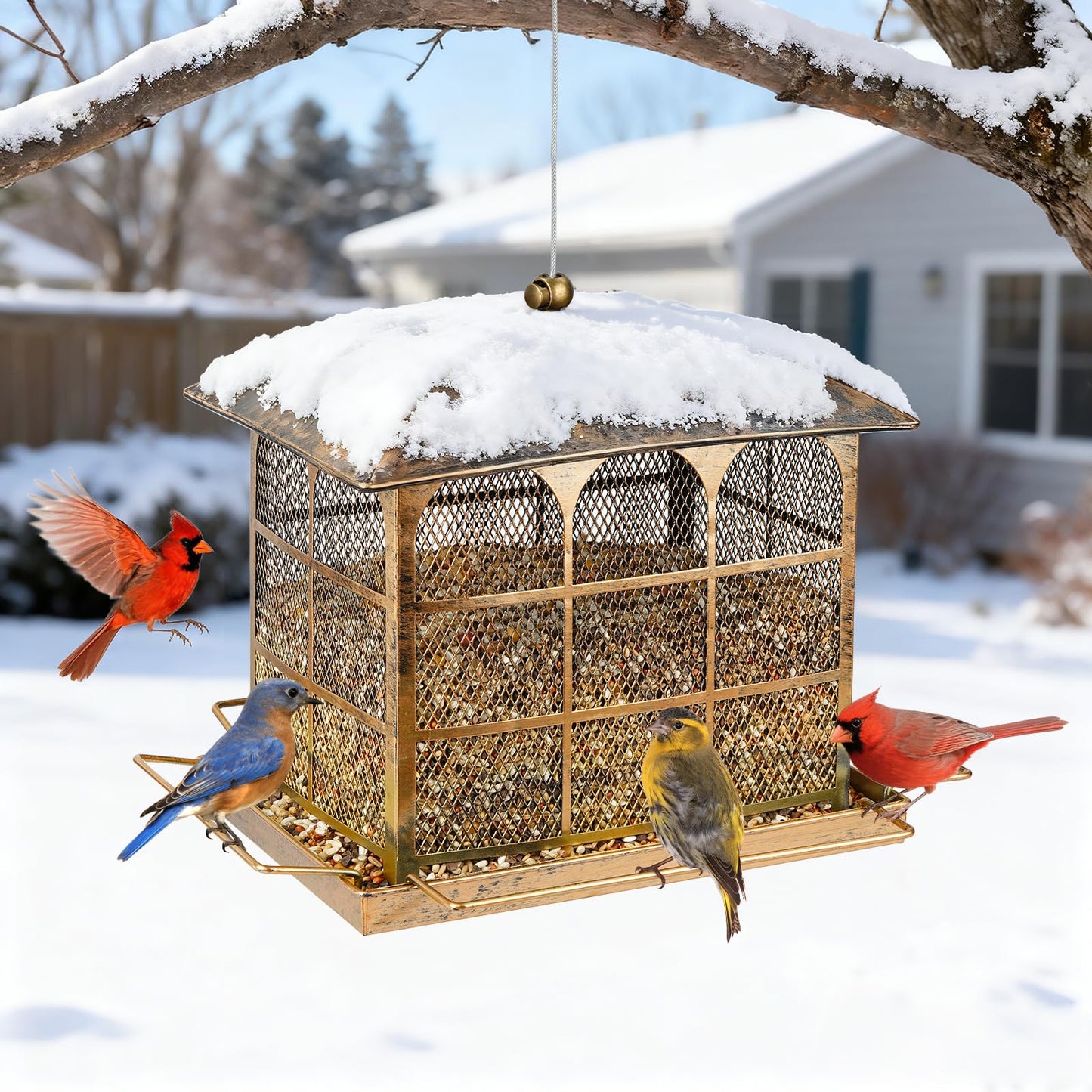 Large Bird Feeder, Heavy Duty Metal Bird Feeders for Outdoor Hanging, 9.5LB Seed Capacity Wild Birdfeeder for Outside Garden Decoration