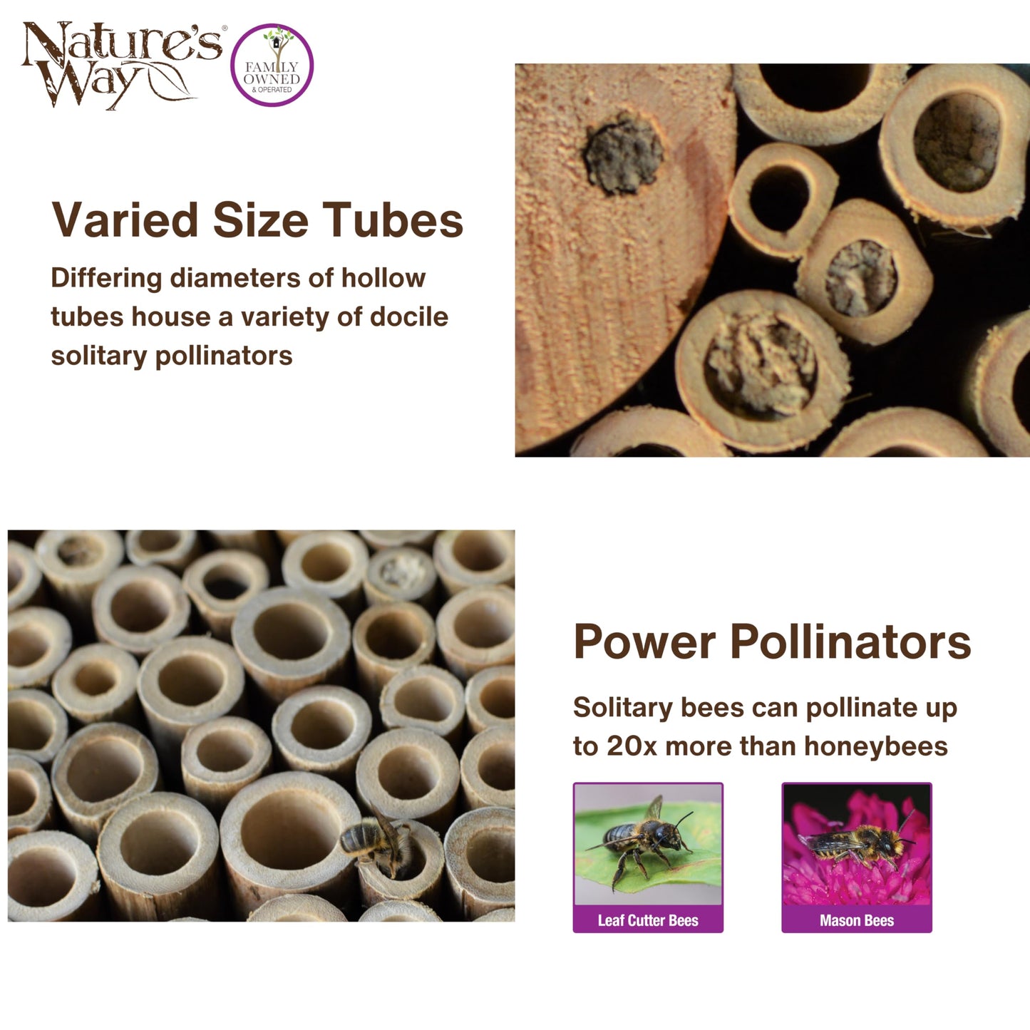 Nature's Way Bird Products PWH1-C Teal Bee House