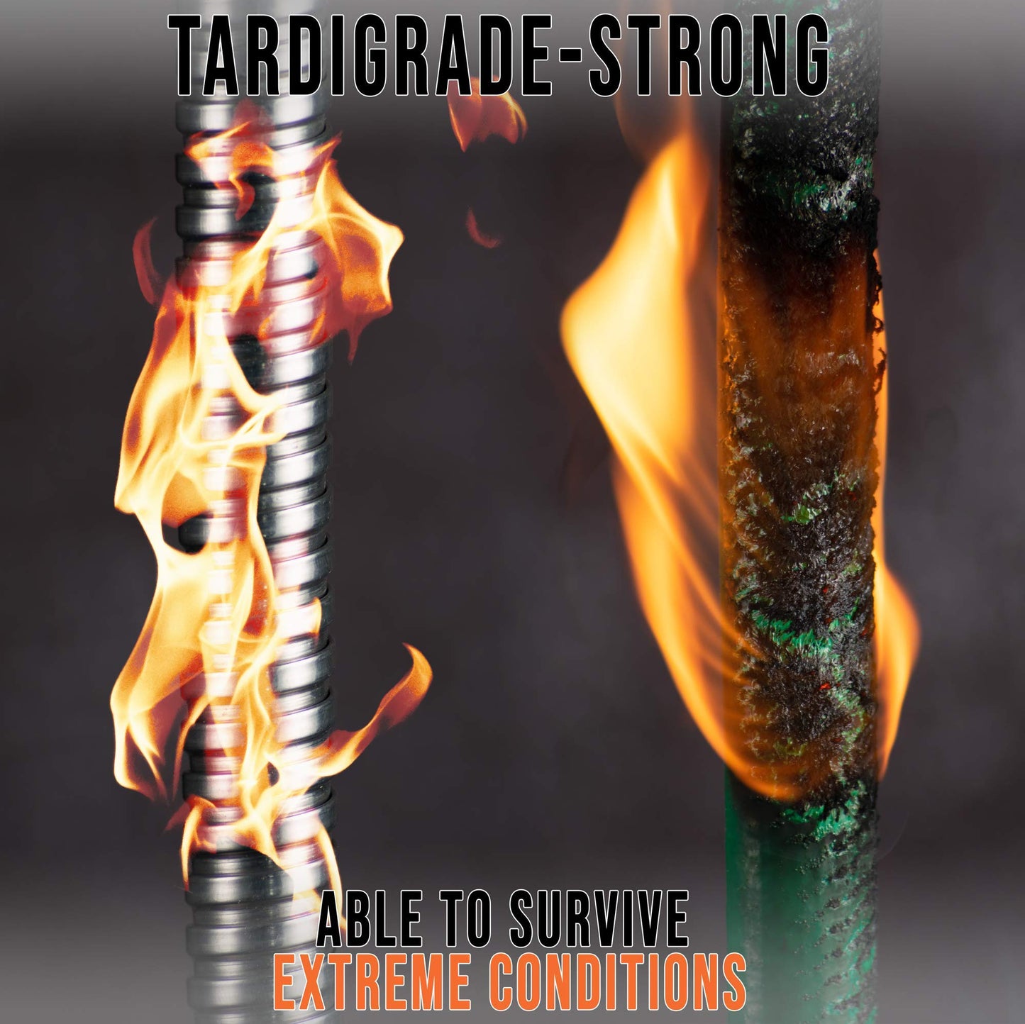 Tardigrade Metal Garden Hose 50 FT, Heavy Duty 304 Stainless Steel Water Hoses, Unmatched Durability, Flexible, No Kink & Tangle, Lightweight, Pet & Rust Proof for Outdoor Lawn Yard