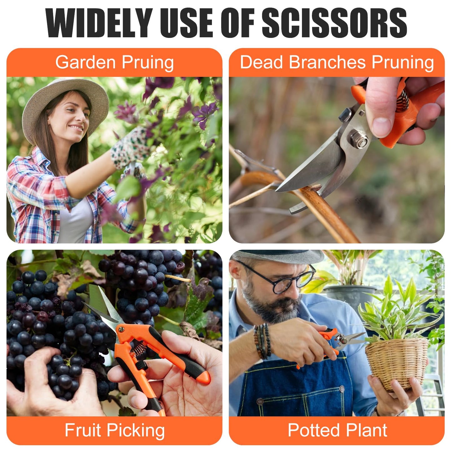 ACHRWFQ 3 Pcs Garden Shears, Stainless Steel Gardening Scissors, Pruning Shears for Gardening, Pruning Scissors for Flowers Fruit Tree