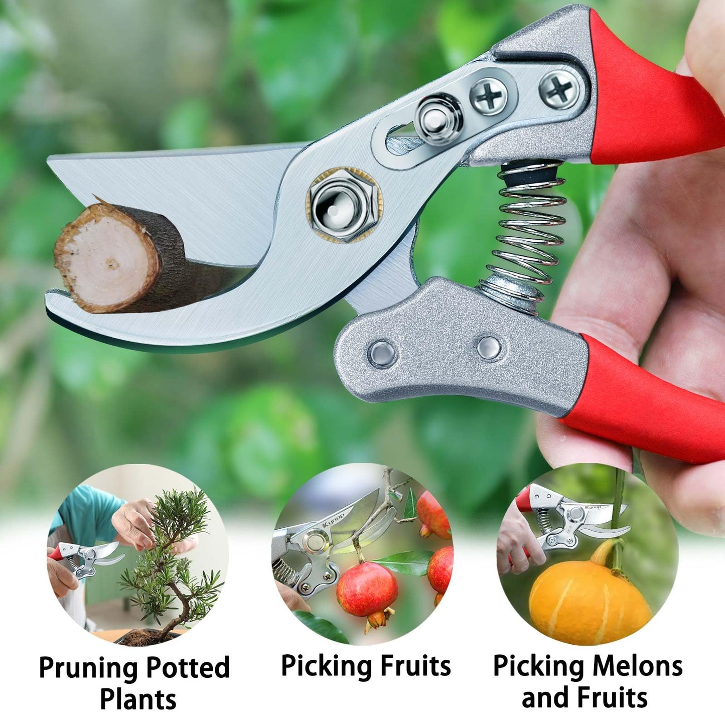Kynup Pruning Shears, Gardening Scissors, Pruners for Gardening, Heavy Duty Garden Tools, Garden Grass Clippers Hand Hedge Shears, (Red)