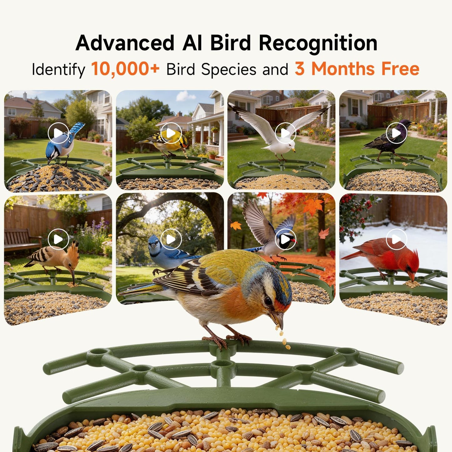 CINMOORE Smart Bird Feeder with Camera - Solar Powered, AI Bird Recognition, 2.4G WiFi 2.5K HD Video Live Stream, Full Color Night Vision, Instant Arrival Alerts, Weatherproof Bird House for Outside