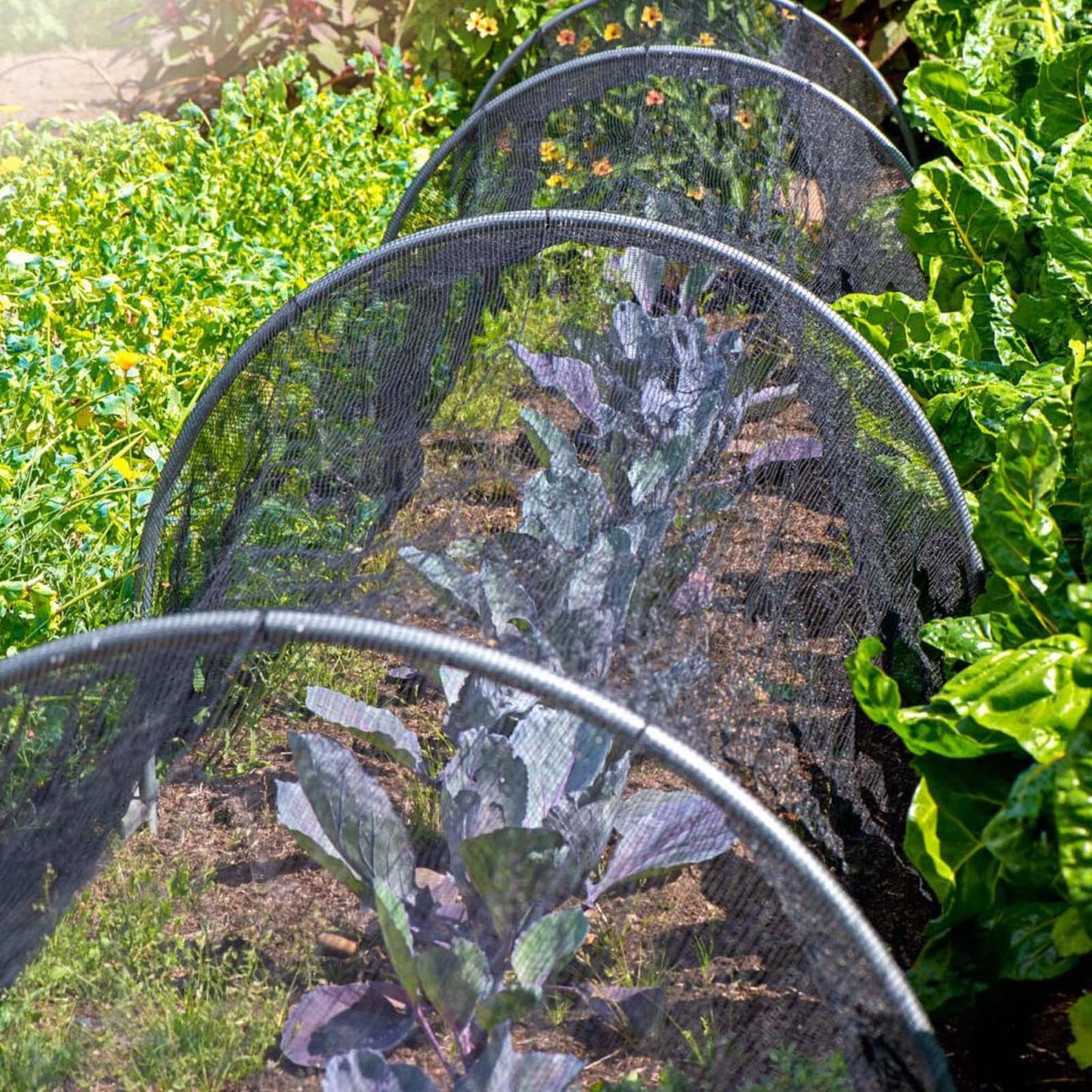 20 x 10 Ft Mosquito Netting for Garden Patio, Breathable Mesh Net for Bird and Insect Protection, Plant Cover for Vegetables, Fruits and Flowers, 3x6m Black