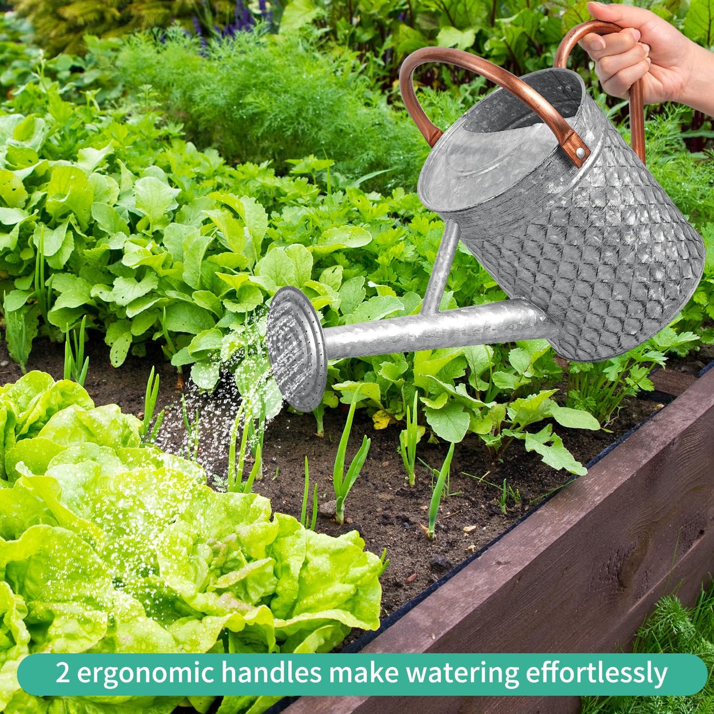 BLstyle 1 Gallon Metal Watering Can for Outdoor Indoor Plants, Galvanized Watering Can with Removable Spray Spout, Ideal for Garden Watering