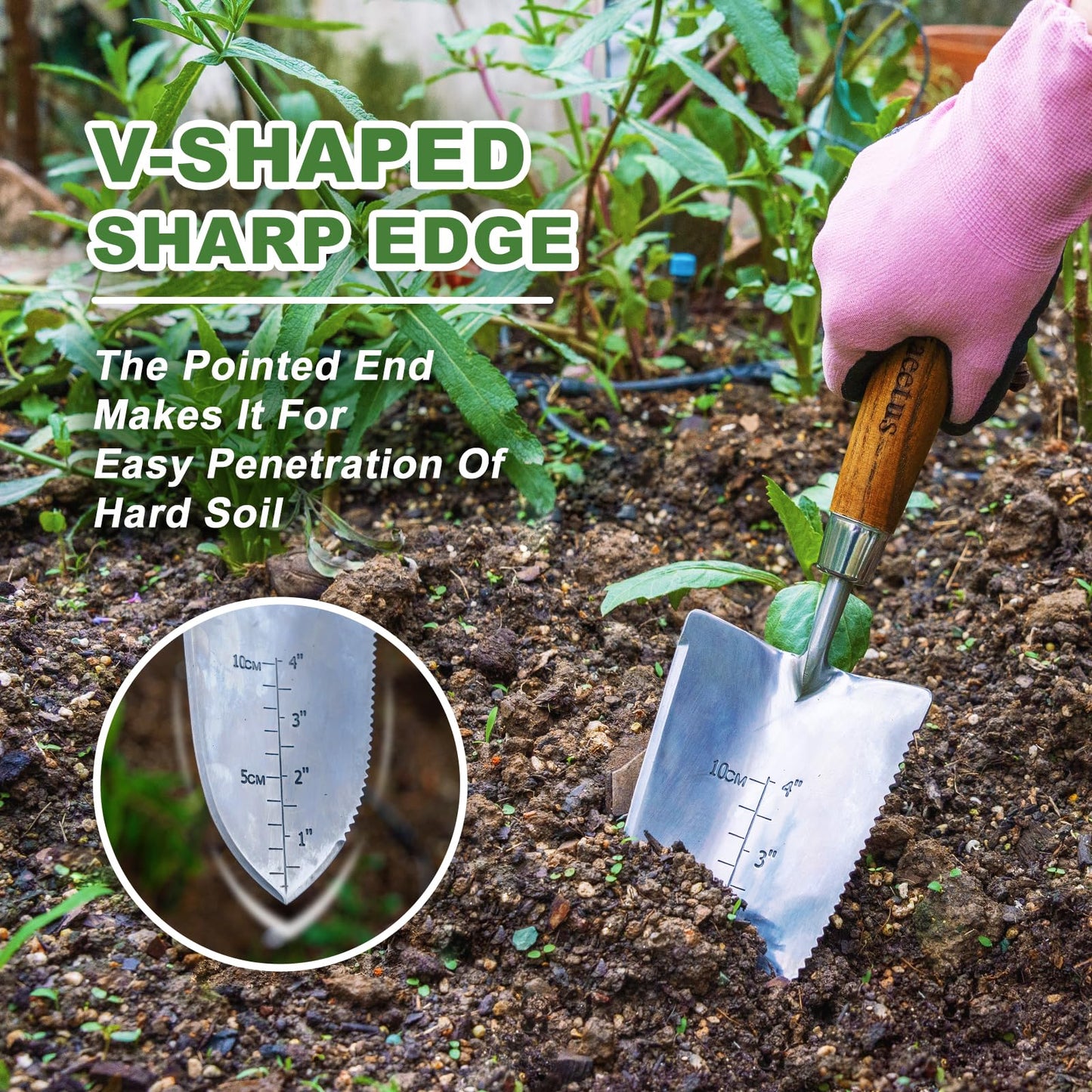 Haliaeetus Garden Trowel with Serrated Edge, 4'' Depth Marks Planting Shovel, V-Shaped Sharp Edge Garden Tool, Stainless Steel with Comfortable Wood Handle for Planting and Weeding