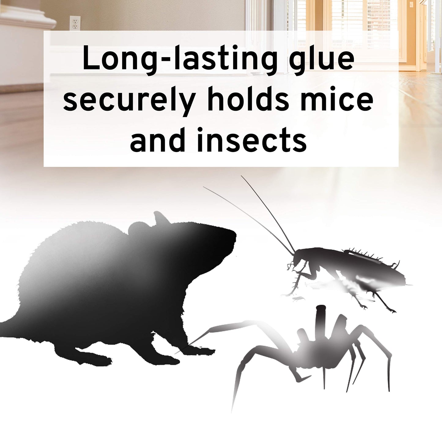 Victor M309 Professional Glue Boards for Insect and Rodent monitoring - 72 Glue Boards
