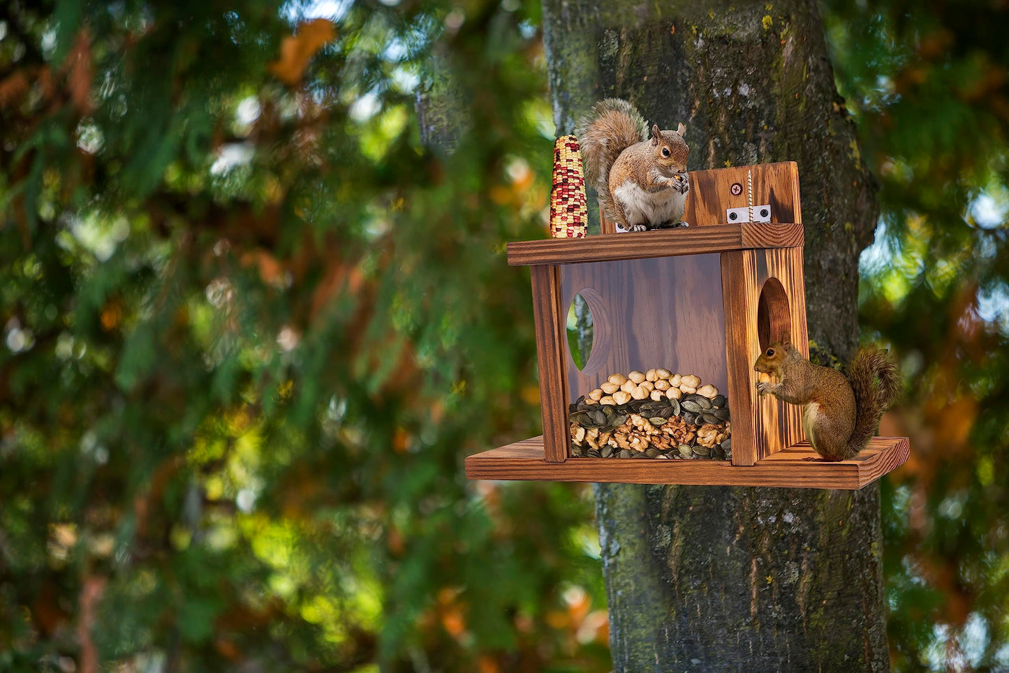 MIXUMON Wood Squirrel Feeder, Squirrel Feeders for Outside Winter, Wooden Chipmunk Feeder for Corn, Peanuts, Durable Box Easy to Fill with Removable Front Panel (Style 1)