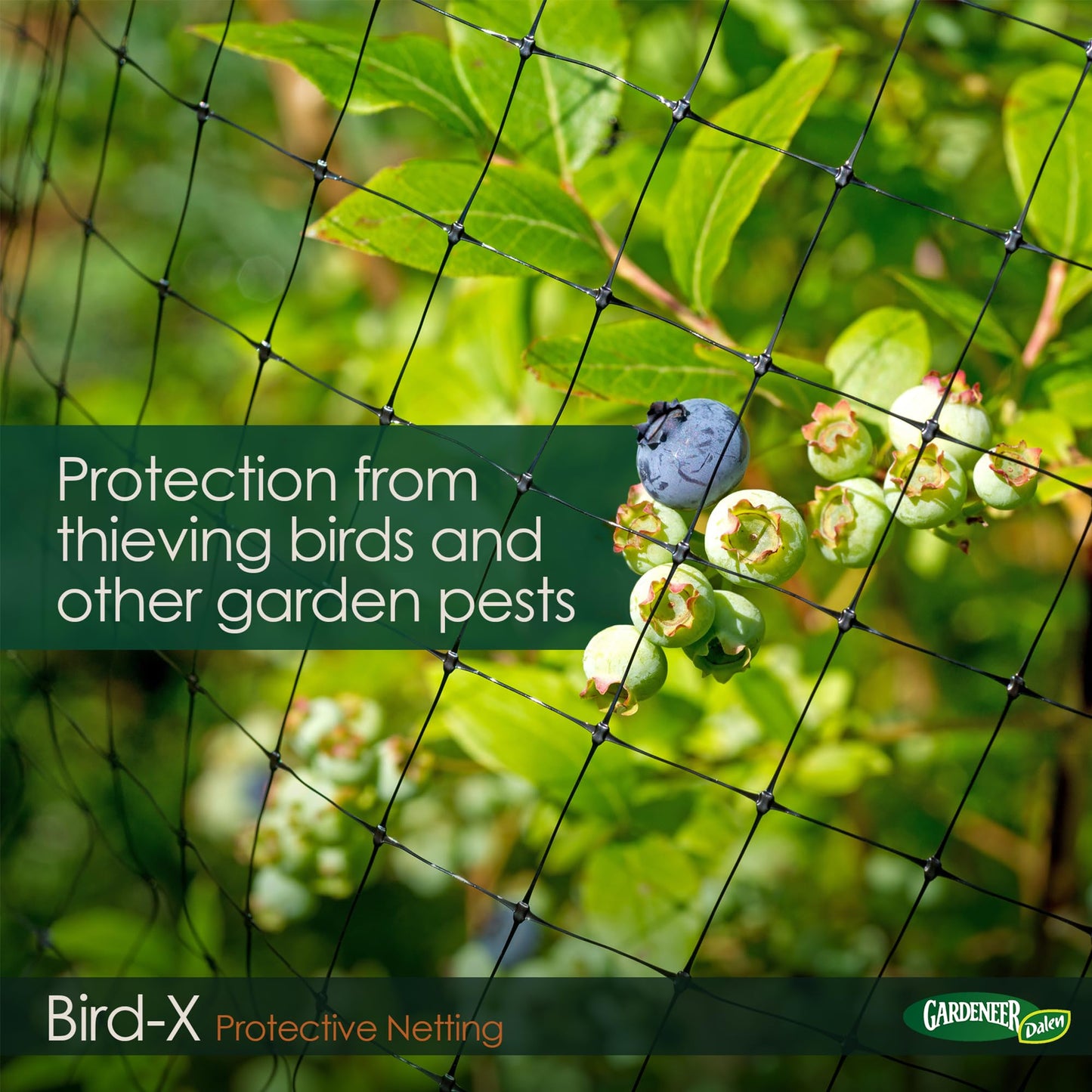 Dalen Bird-X Protective Mesh Netting for Fruit Trees, Berries, Vegetables - 14 ft x 45 ft, Black Garden Netting, 5/8-inch Mesh - Helps Deter Birds & Garden Pests, Made of Weather-Resistant Plastic