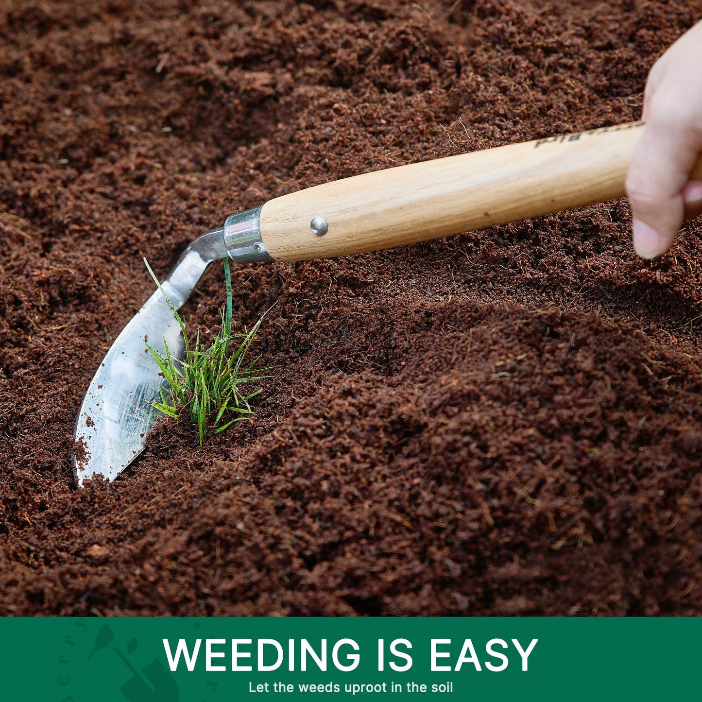 Berry&Bird Stainless Steel Bent Angle Gardening Sickle, Weed Scraper-Hoe with Ergonomic Ash Wood Handle, 12.67-Inch Blade for Weeding & Soil Loosening