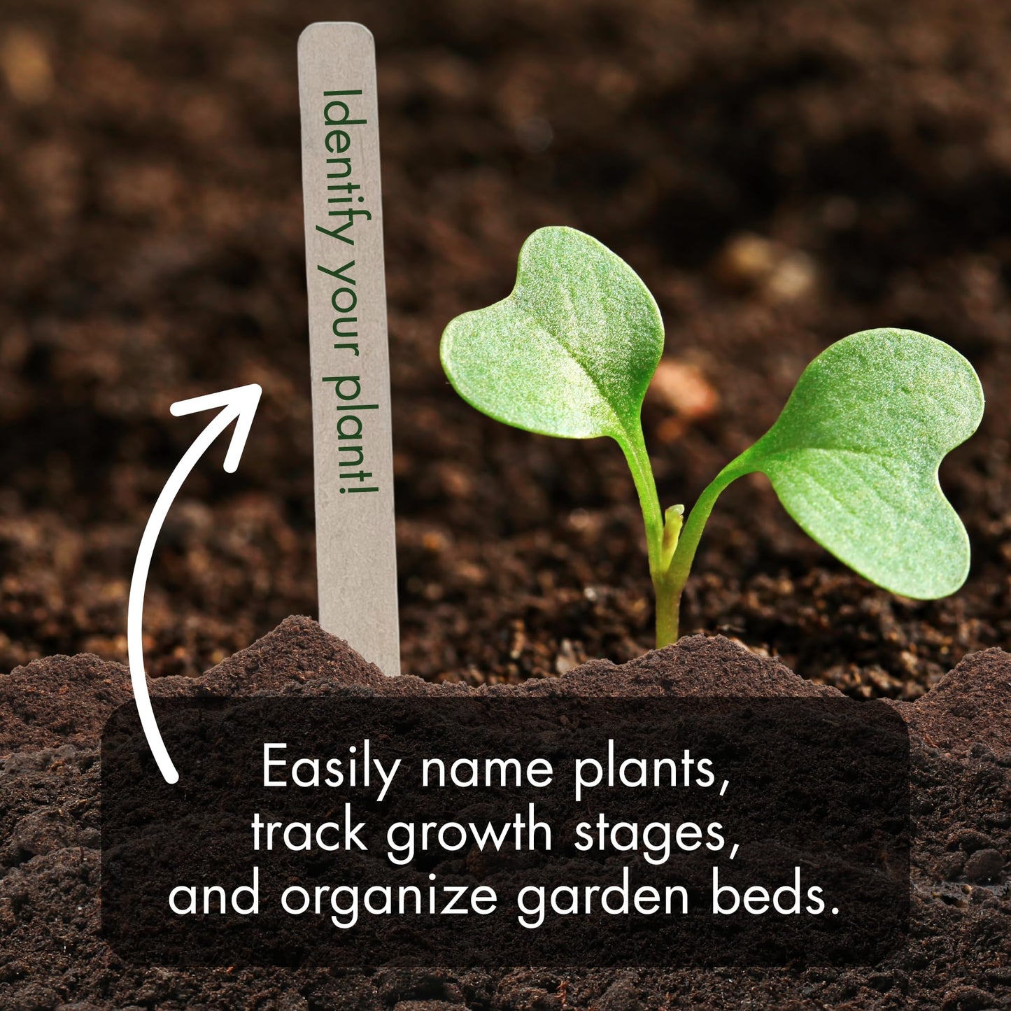 100% Natural Wood Plant Markers - 10 Inches Tall - for Field and Garden Use - Eco-Friendly & Sustainable Plant Identification - Made in USA - (Pack of 25)