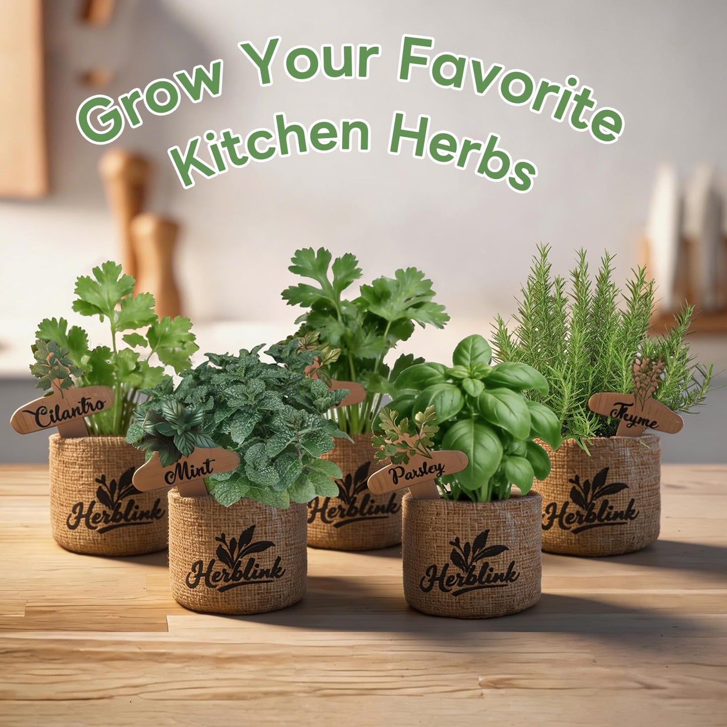 Herblink Indoor Herb Garden Starter Kit, 5 Herb Garden Planter Indoor Kit with Wooden Box Including Genovese Basil, Thyme, Parsley, Mint, Complete Windowsill Growing Gifts Set, Gifts for Mom, Women