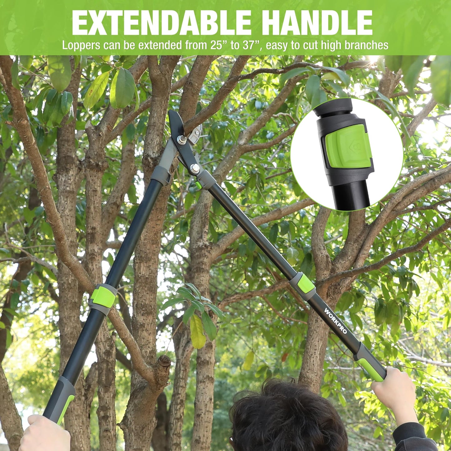 WORKPRO Extendable Anvil Lopper for Gardening, 25-37" Branch Cutter with 1.6" Cutting Capacity, Heavy-Duty Pruning Shear Featuring Gear System for Tree Trimming, Handheld Garden Shear with Sharp Blade