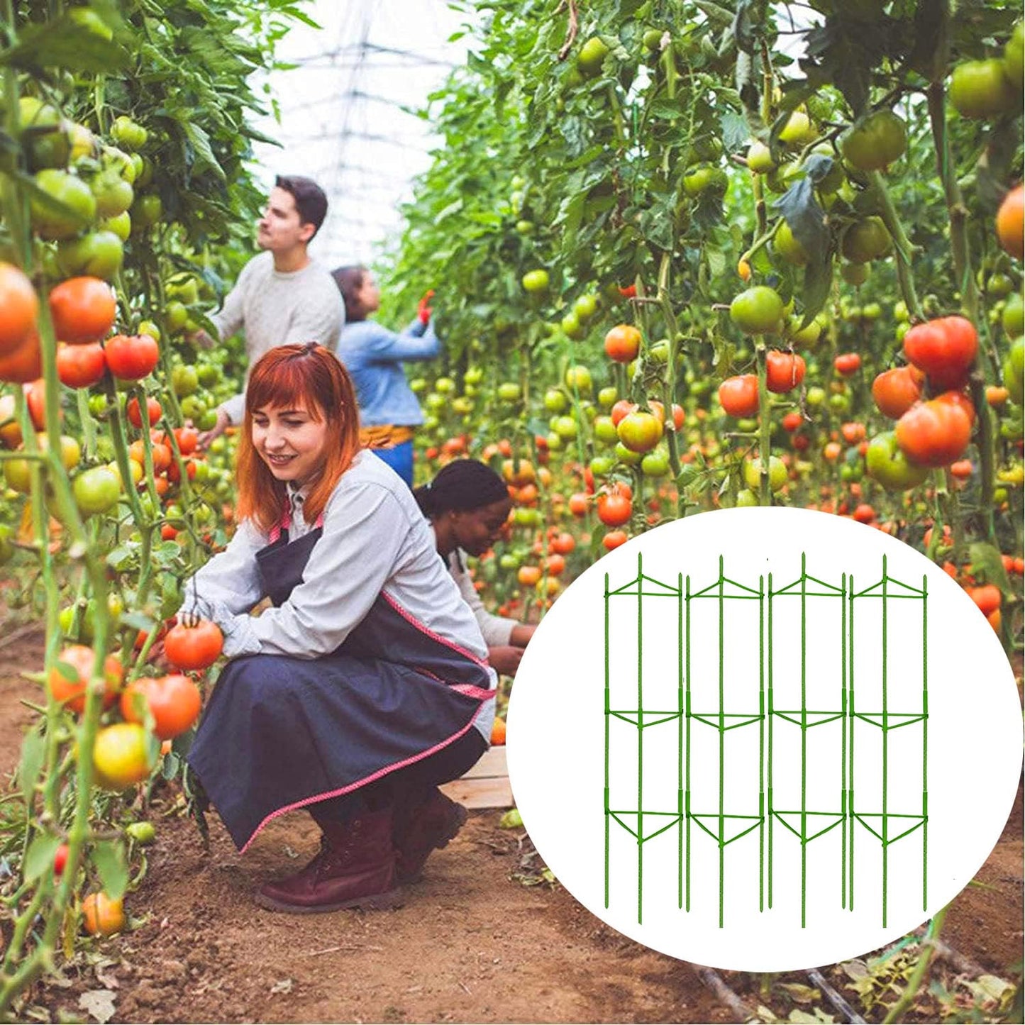Moirsunt 6 Packs Tomato Cage for Garden Plant Support, Up to 50.2inch Garden Plant Stakes Tomato Trellis for Potted Plants, Deformable Tomato Cage Trellis for Climbing Plants Vegetables Flowers