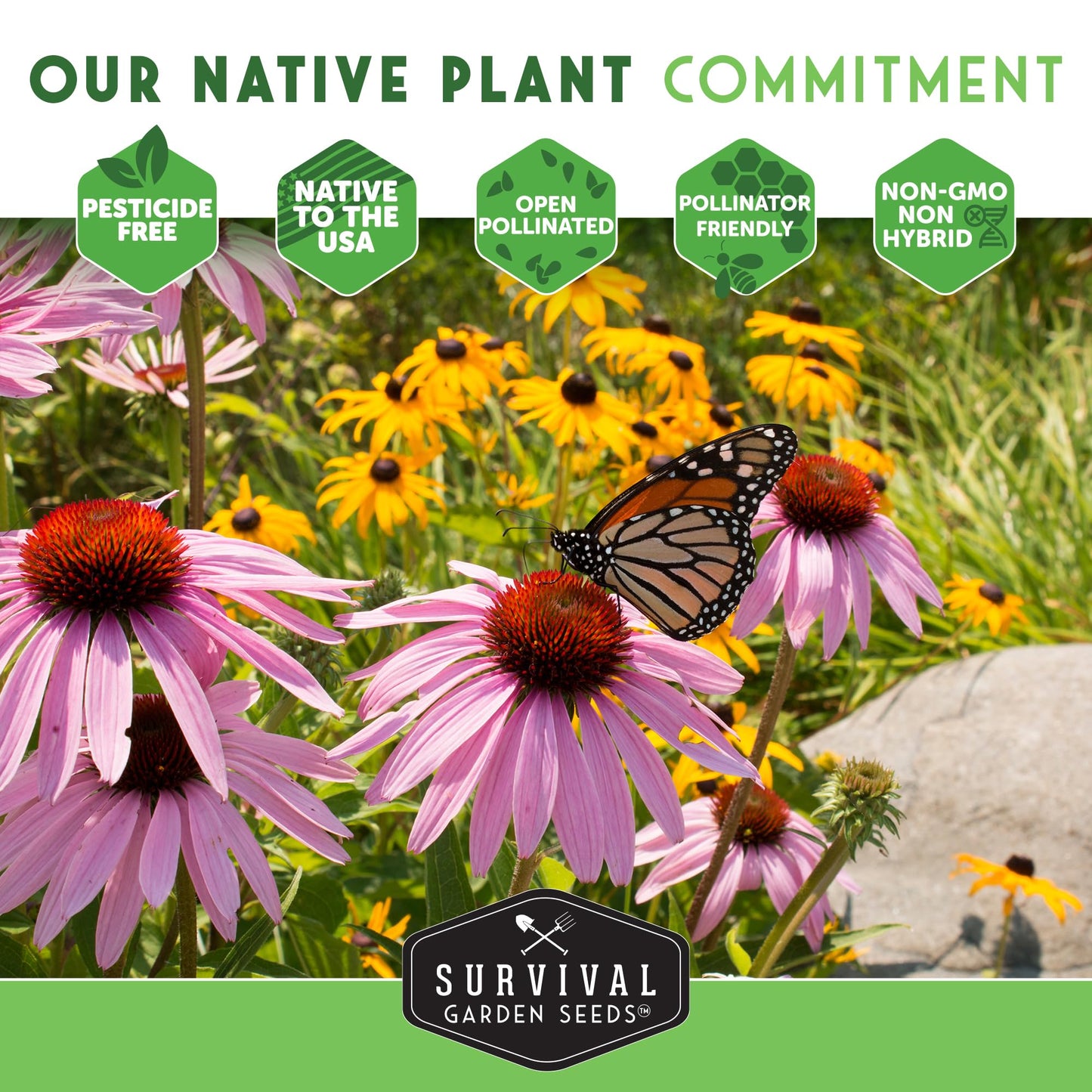 Native Wildflower Seeds for Planting 24 Variety Pack – Perennial & Annual North American Flowers for Butterfly & Bee-Friendly Pollinator Gardens – Non-GMO Heirloom – Survival Garden Seeds