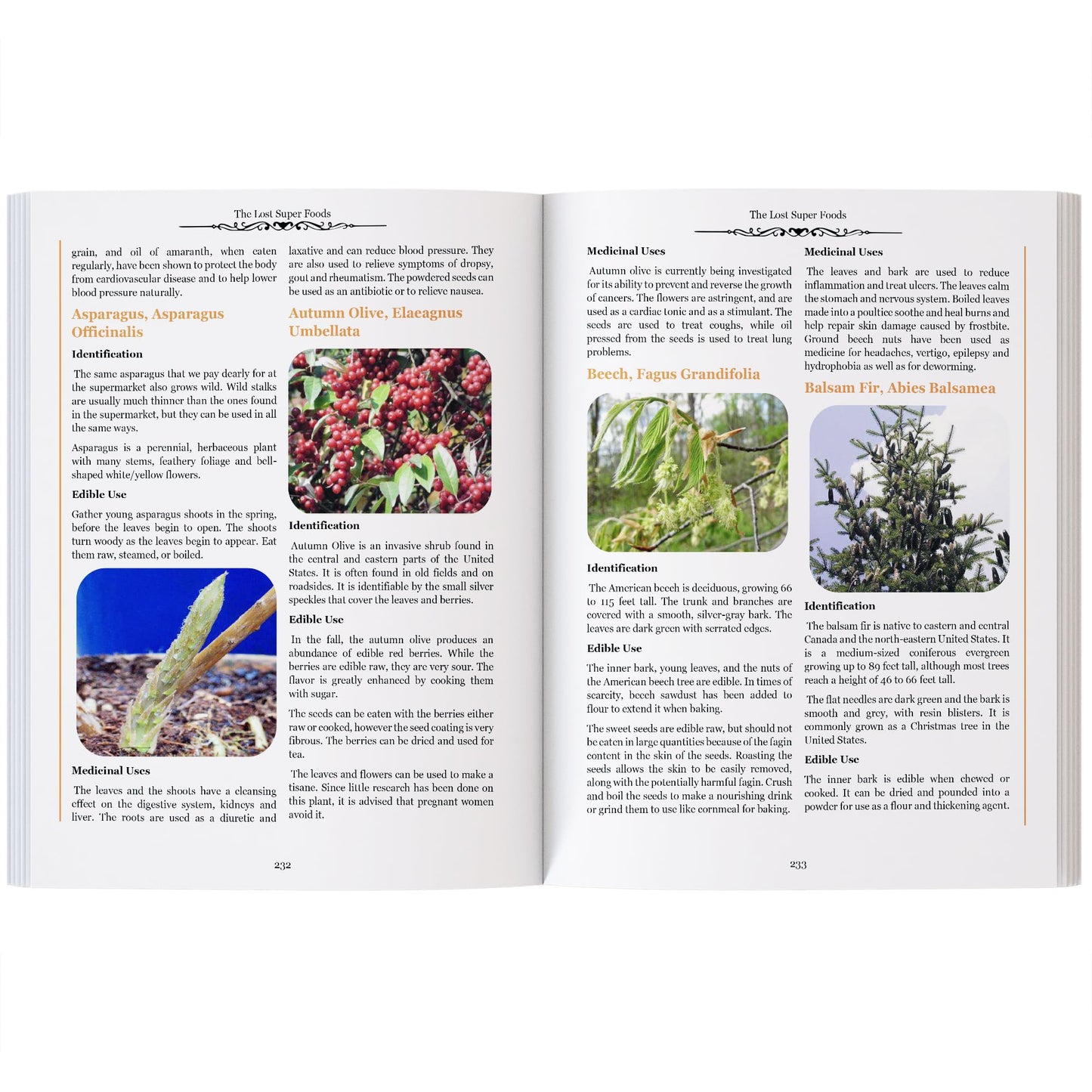 The Lost SuperFoods 126+ Survival Foods and Tips for Your Stockpile