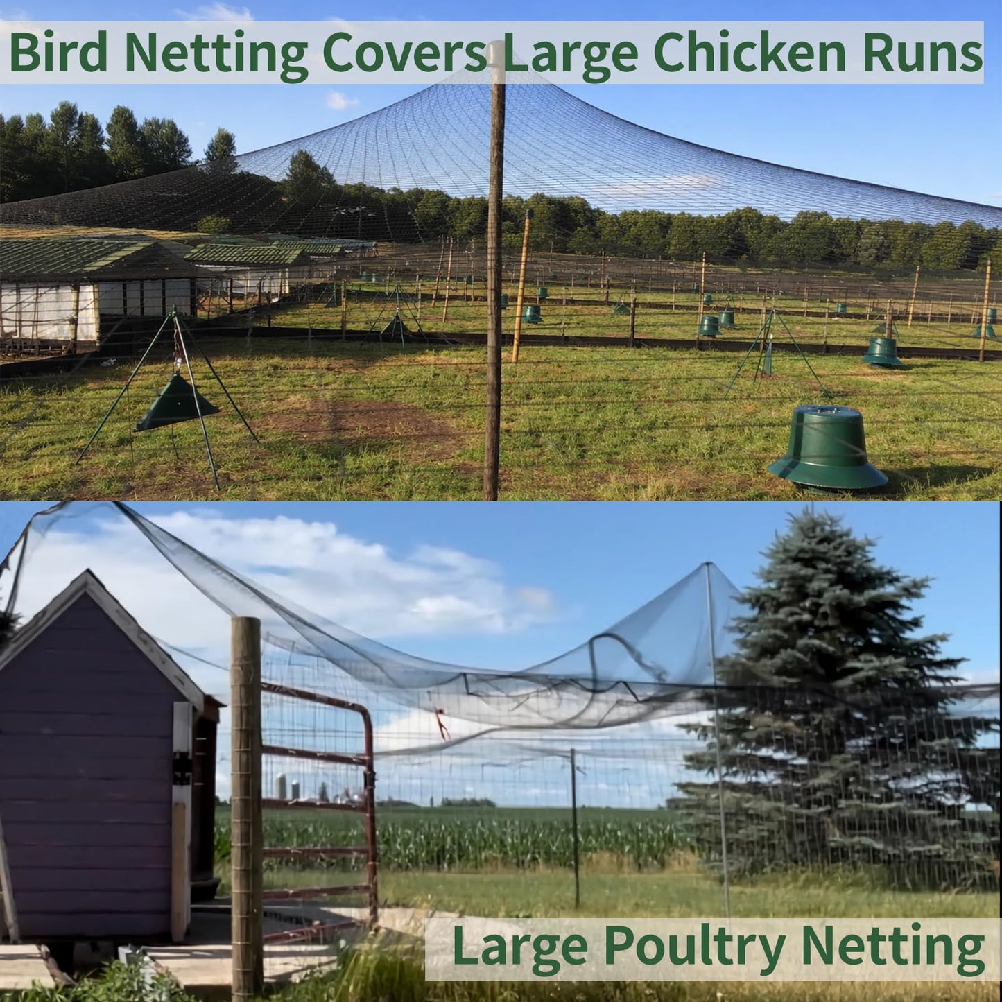 50x100ft Bird Netting for Chicken Coop 1 inch Mesh Heavy Duty Chicken Netting Animal Barrier, Poultry Netting Roof Cover for Chicken Run, Bird Net for Fruit Tree Against Birds Squirrels Rabbits